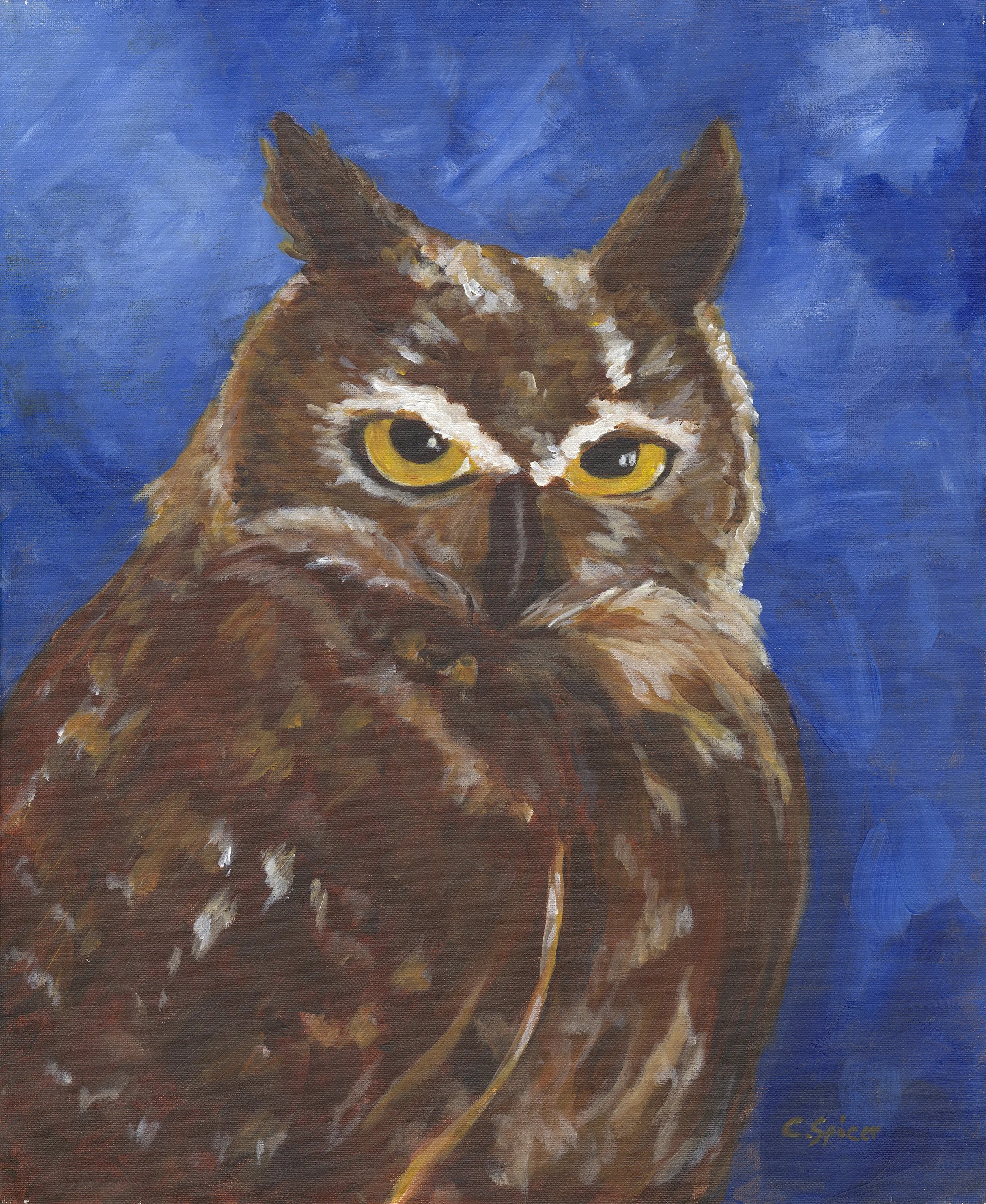 Owl .jpg