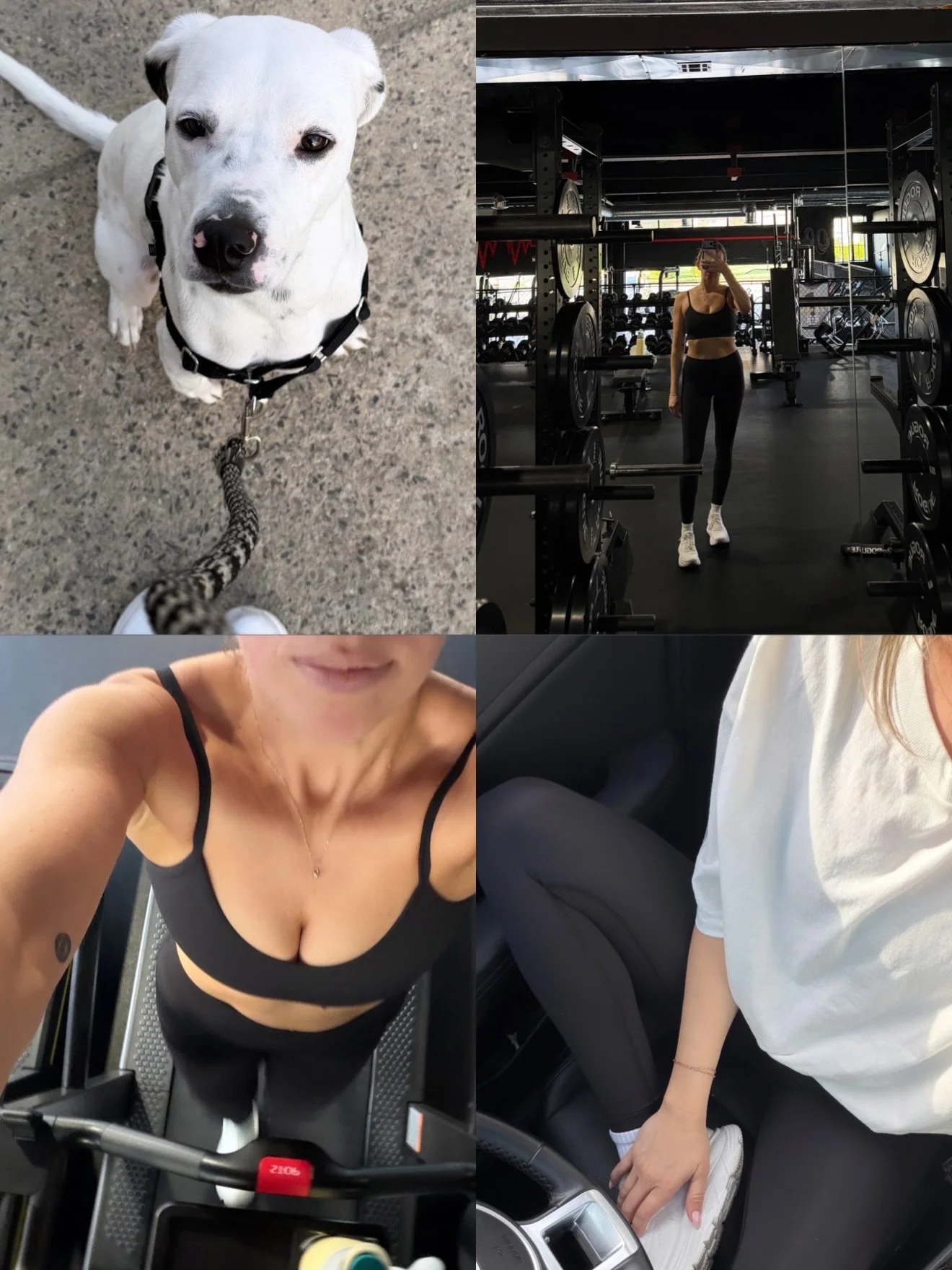 morning movement in wren 🖤