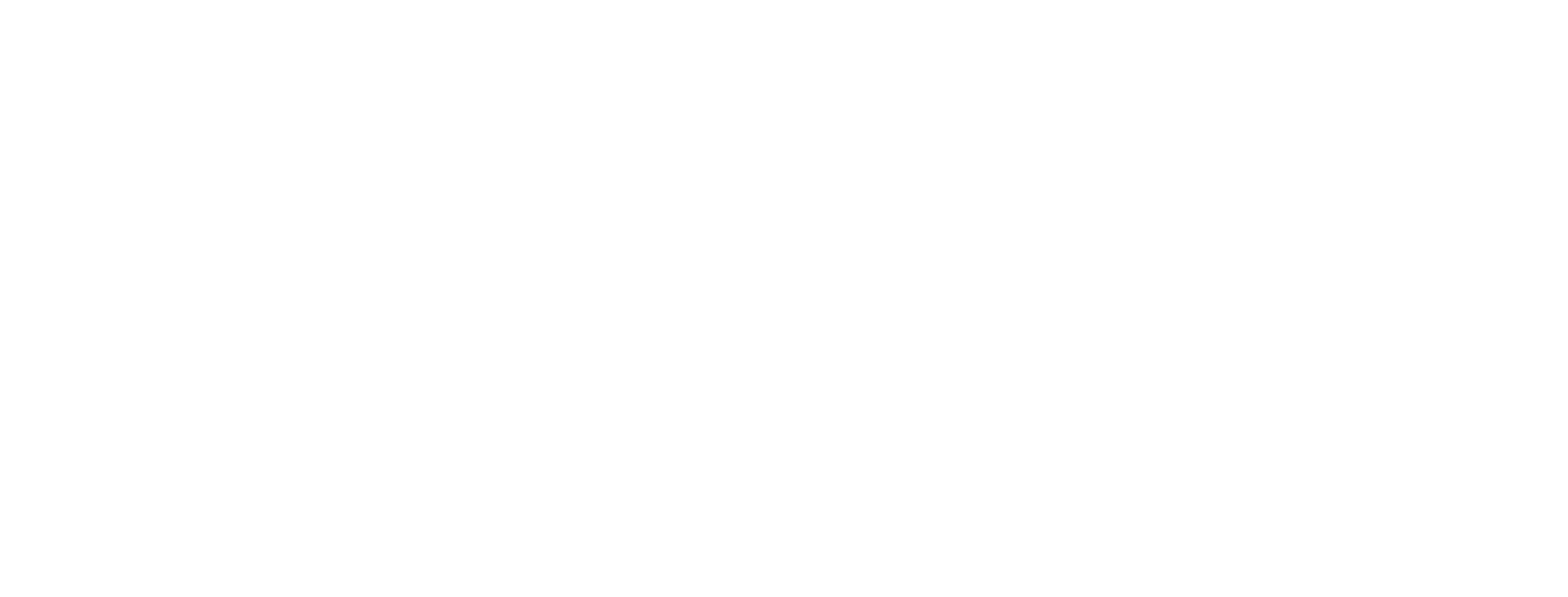 The image features the word 'SEEN' in large, distressed white letters with the words 'NEW YORK CITY' in smaller white letters below on a black background.