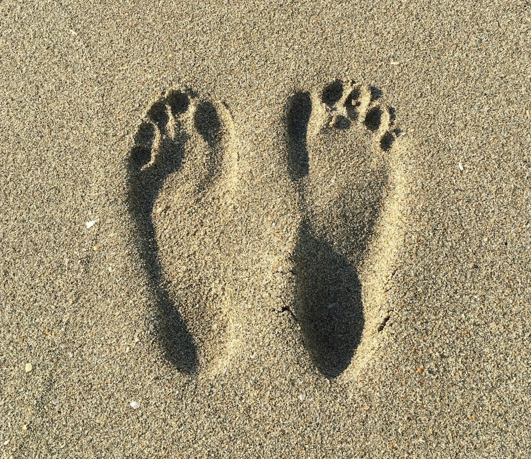 Winter Vitality: Supporting Your Lungs &amp; Immune System with Breathwork &amp; Bodywork