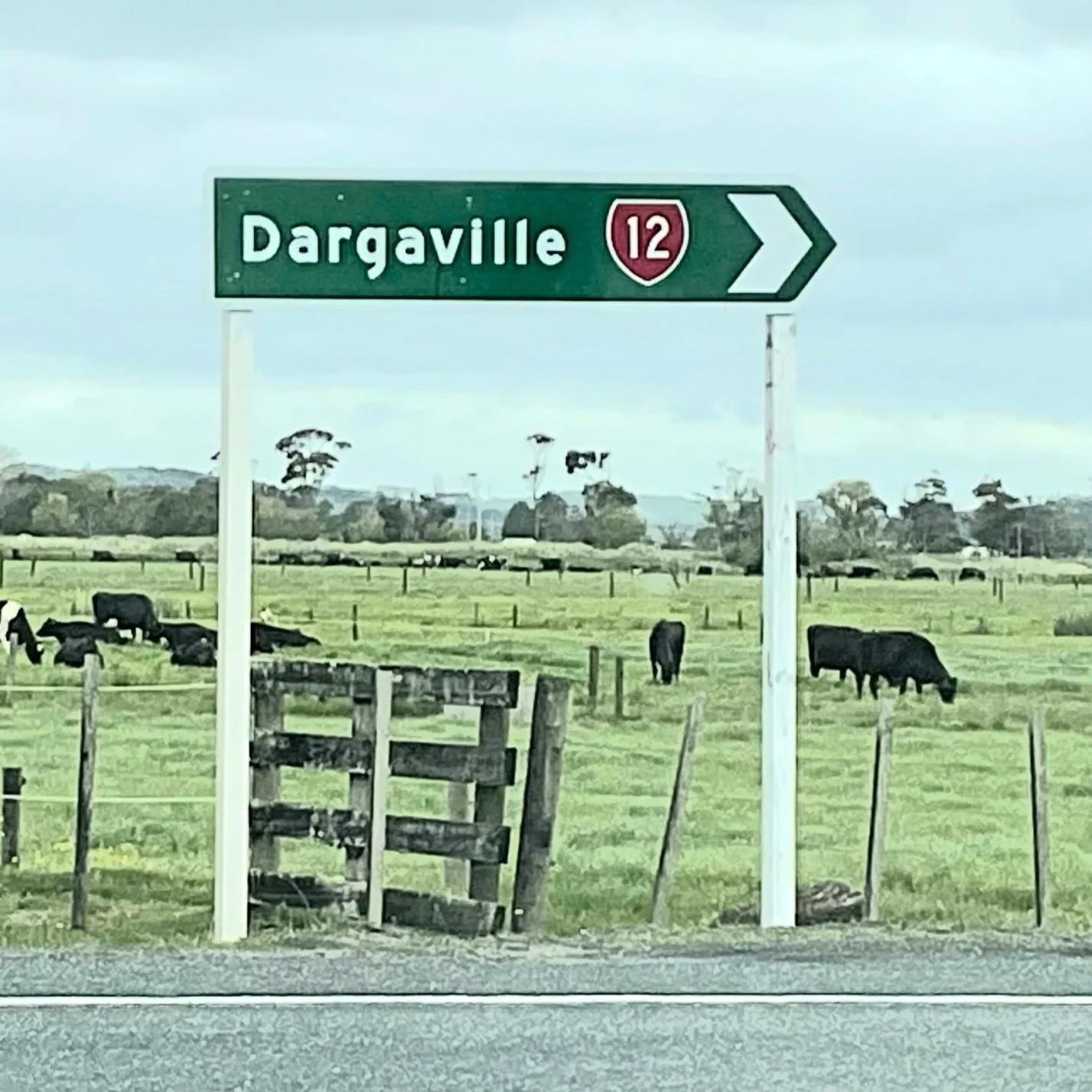 Dargaville