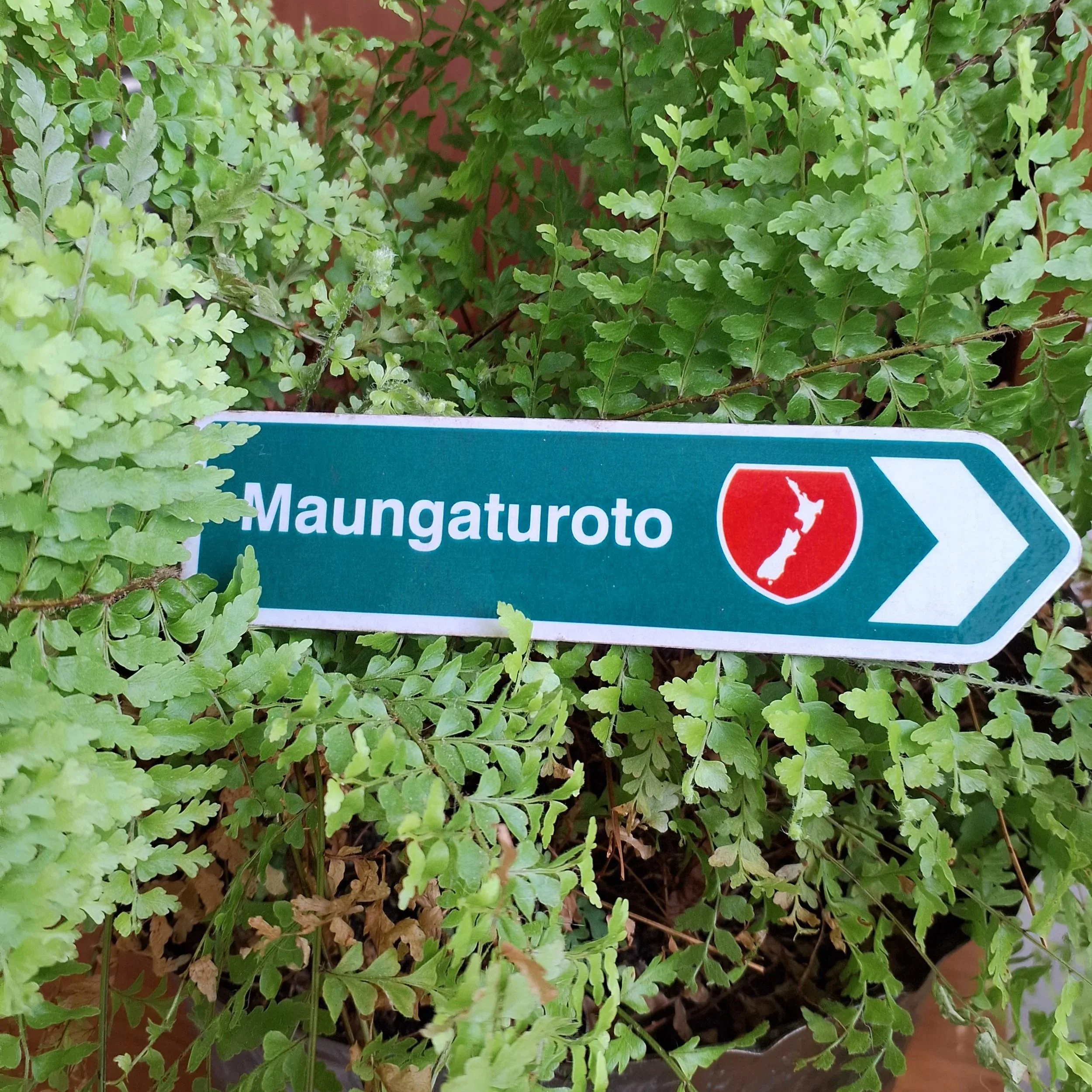 Maungaturoto 