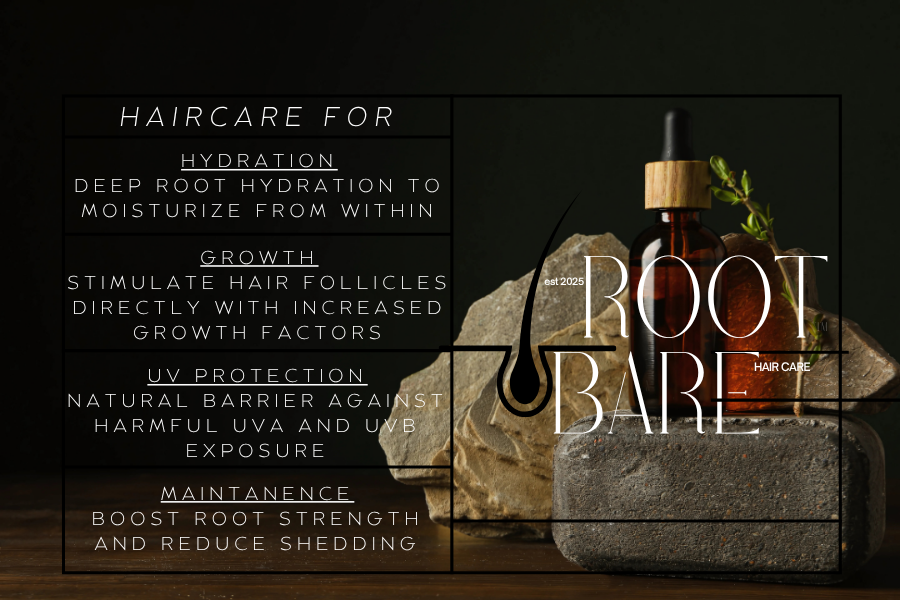 Display of haircare product with a dark background, brochure text about haircare benefits like hydration, growth, UV protection, and maintenance, and a brown glass dropper bottle on rocks with a small green plant