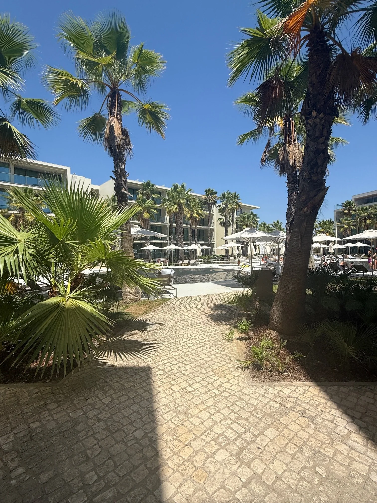 Portugal With Kids: Our 16-Day Family Itinerary