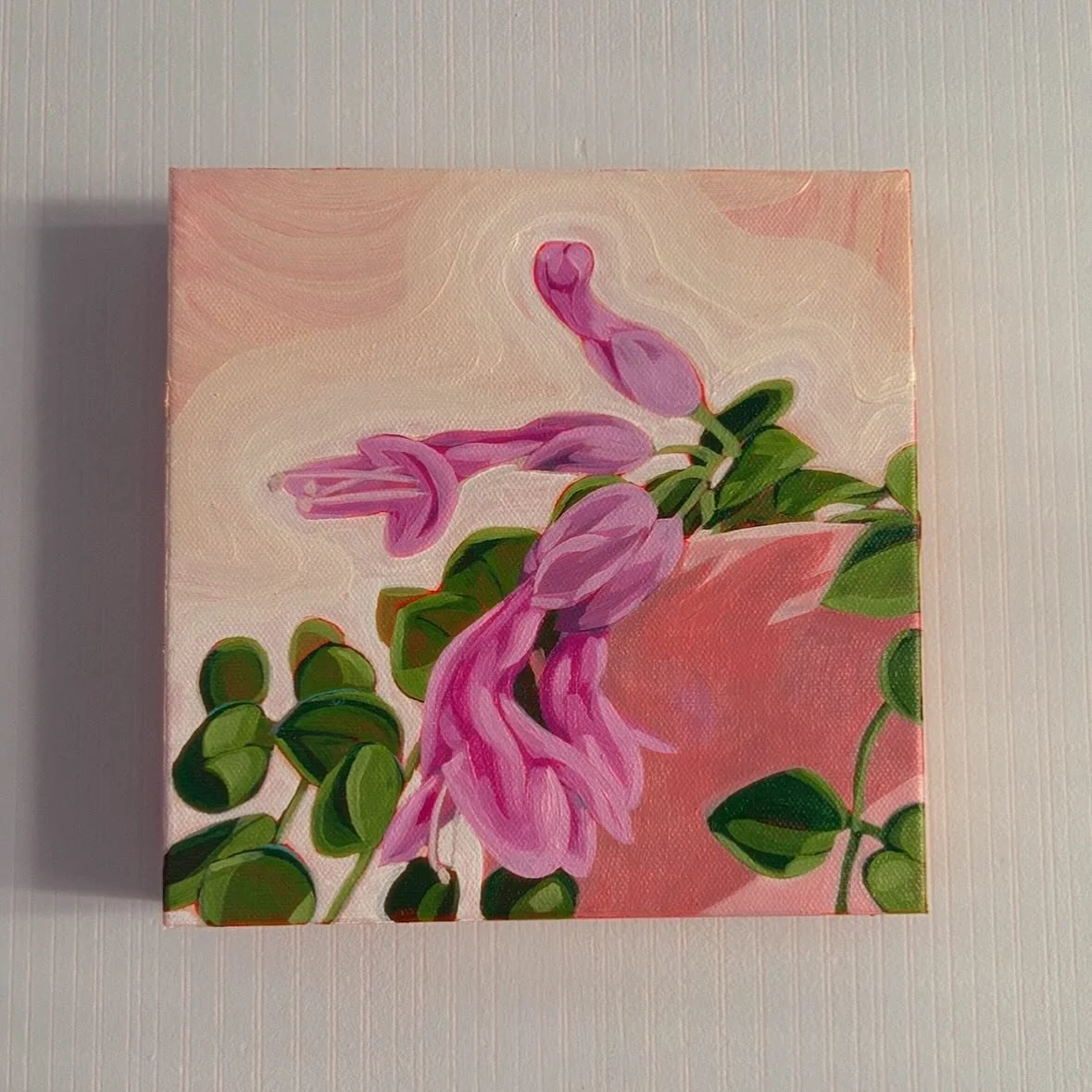 Lipstick plant &amp; many other paintings, prints, stickers, and plants available next Saturday in downtown Waynesville at apple fest 🤠