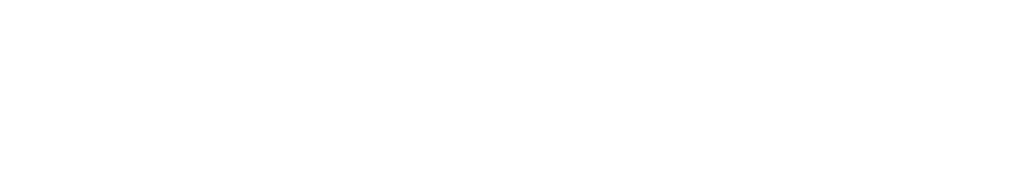 Sentient Financial