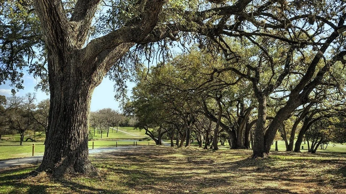 Don Beaver Tournament