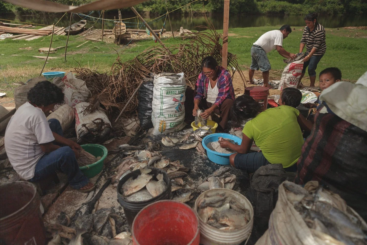 Families gather to clean and preserve fish in a riverside village, preparing food both for consumption and trade in Iquitos.