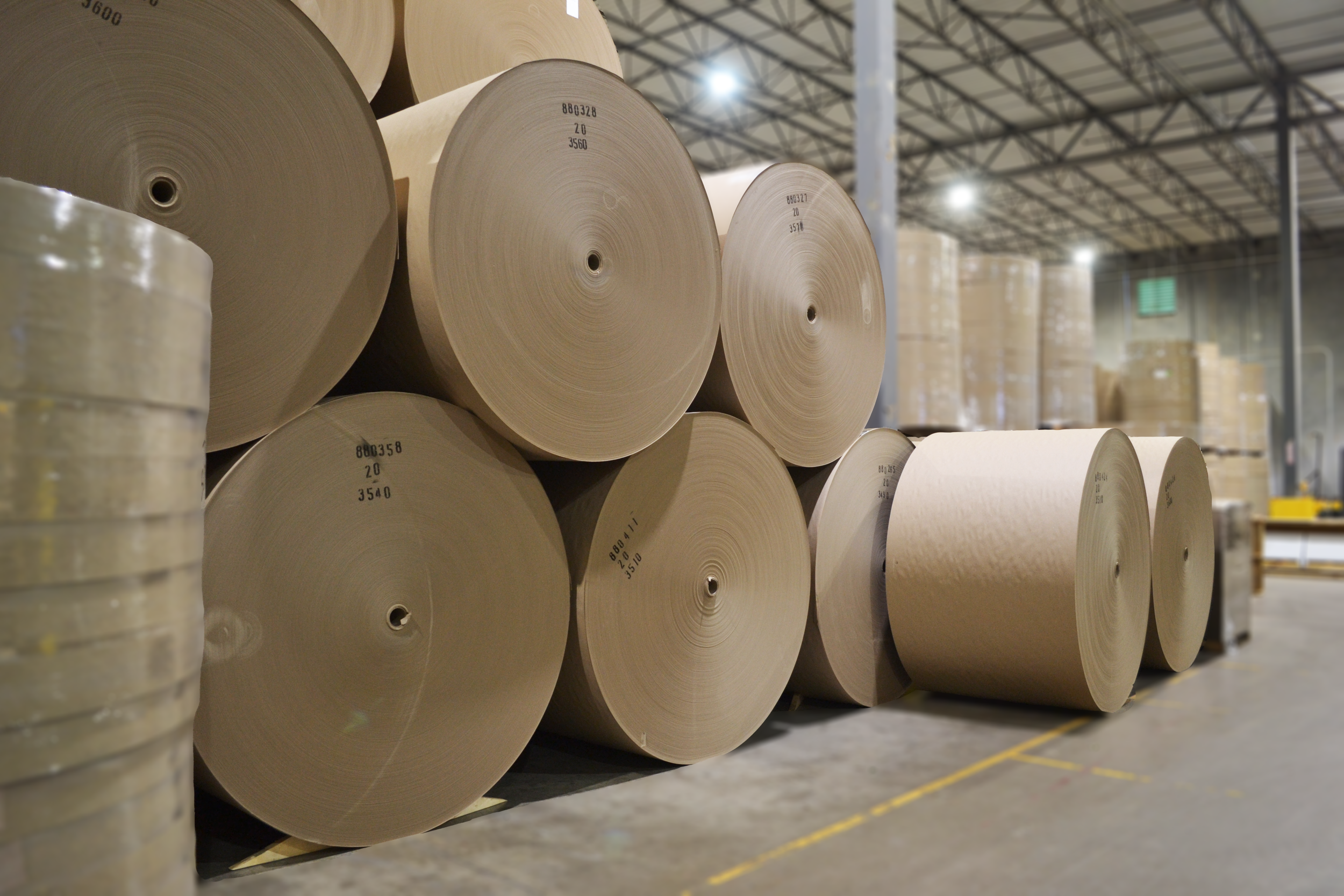 Large rolls of paper stacked in a warehouse with high ceilings and overhead lighting.