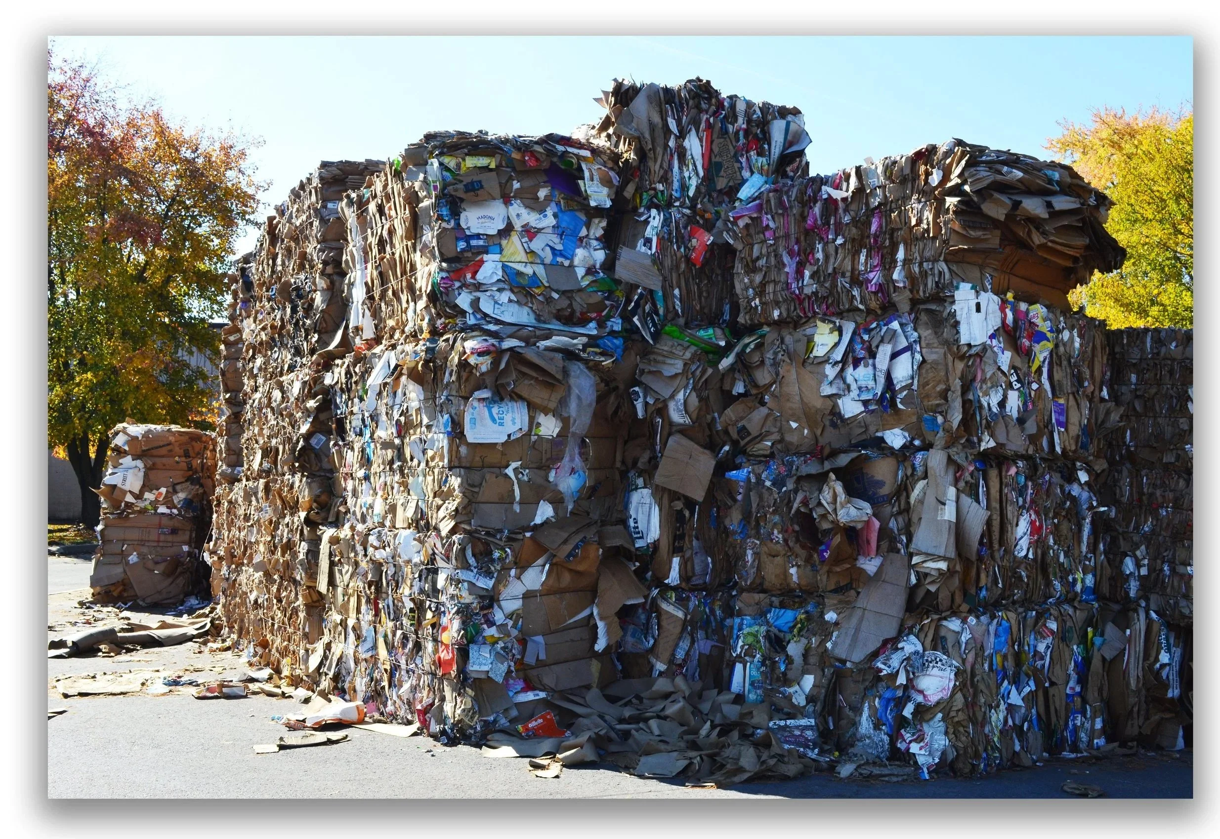 Large stacks of bundled recyclable paper and cardboard materials outdoors with trees in the background and clear sky.