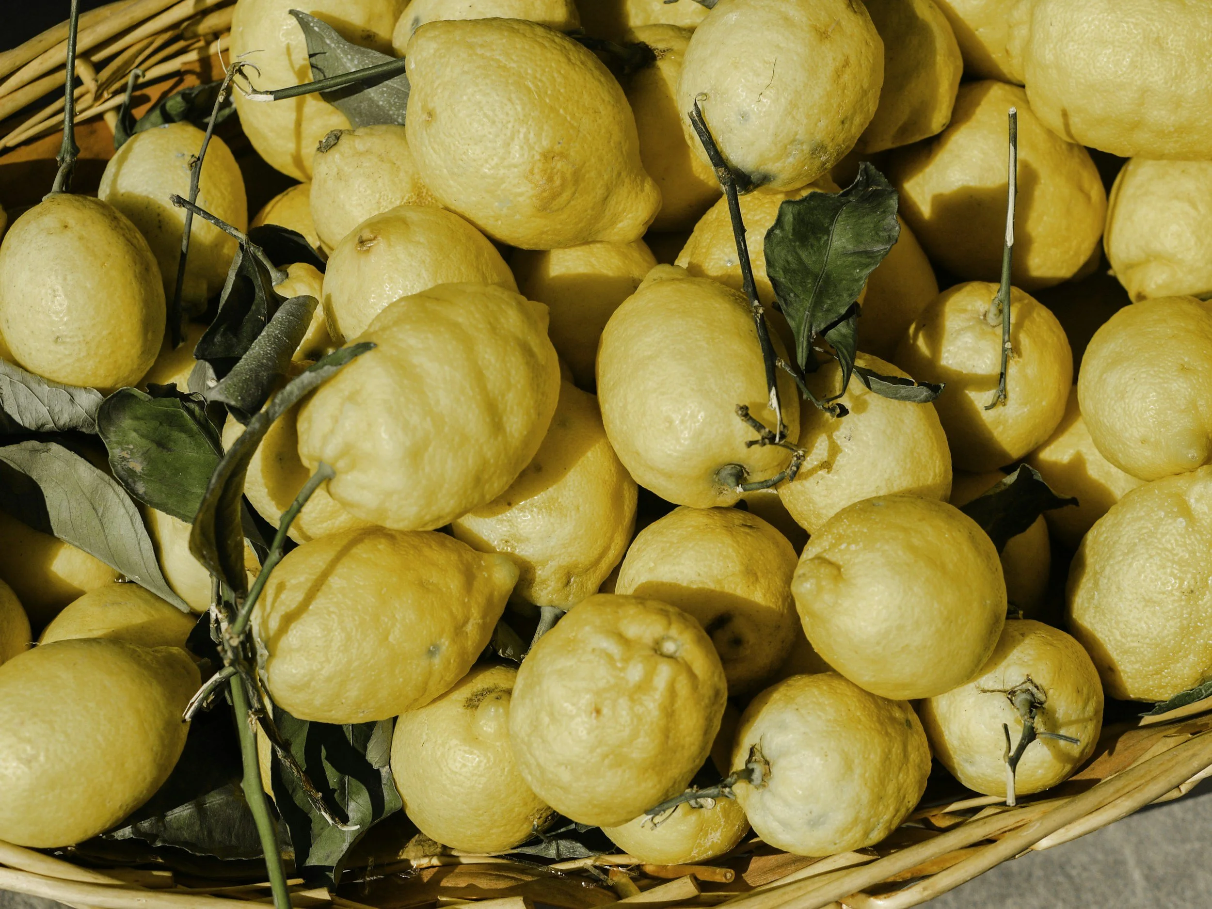 Bergamot
