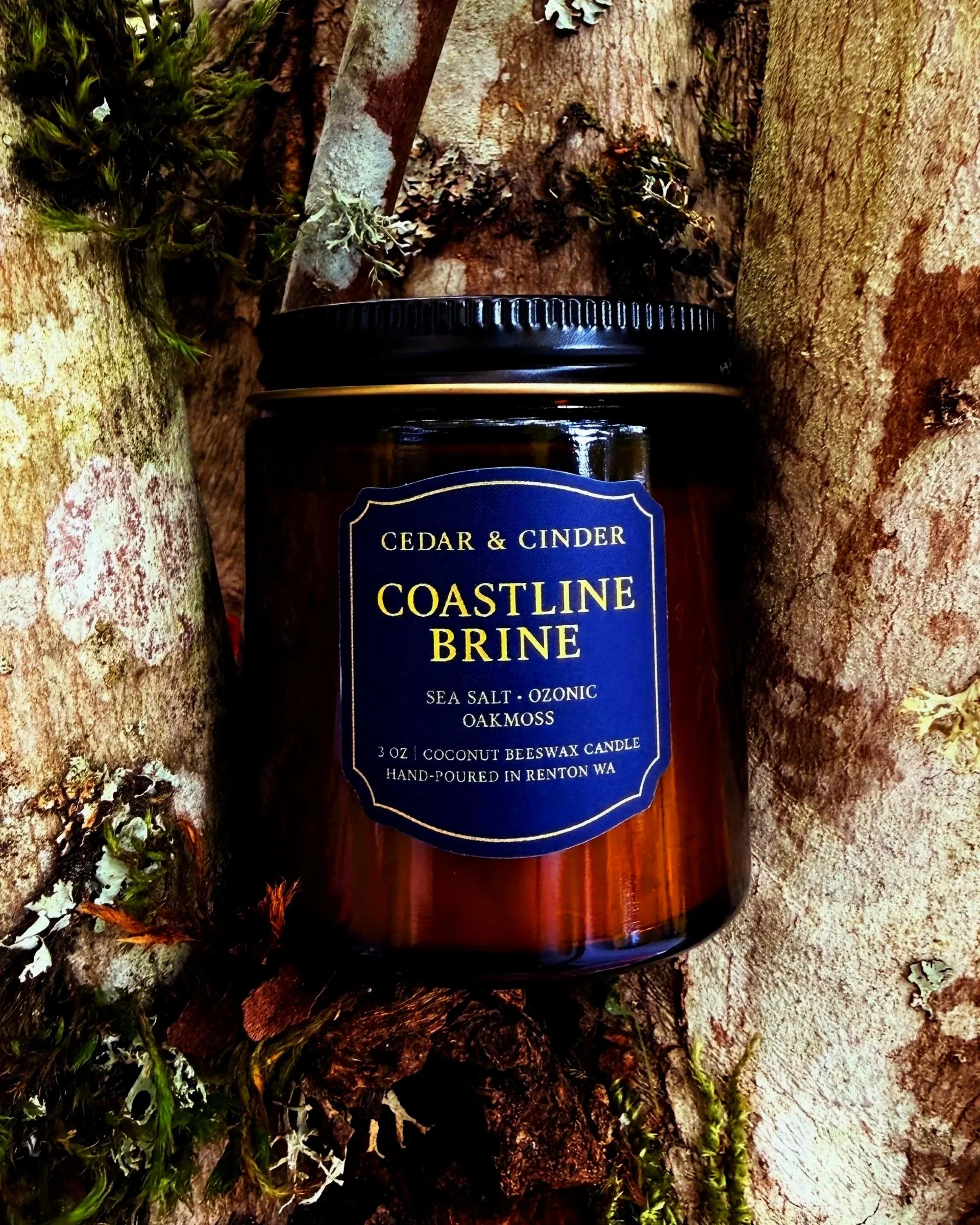 A candle labeled 'Cedar & Cinder Coastline Brine' resting on tree bark with moss and tree trunks in the background in Mt. Rainier.