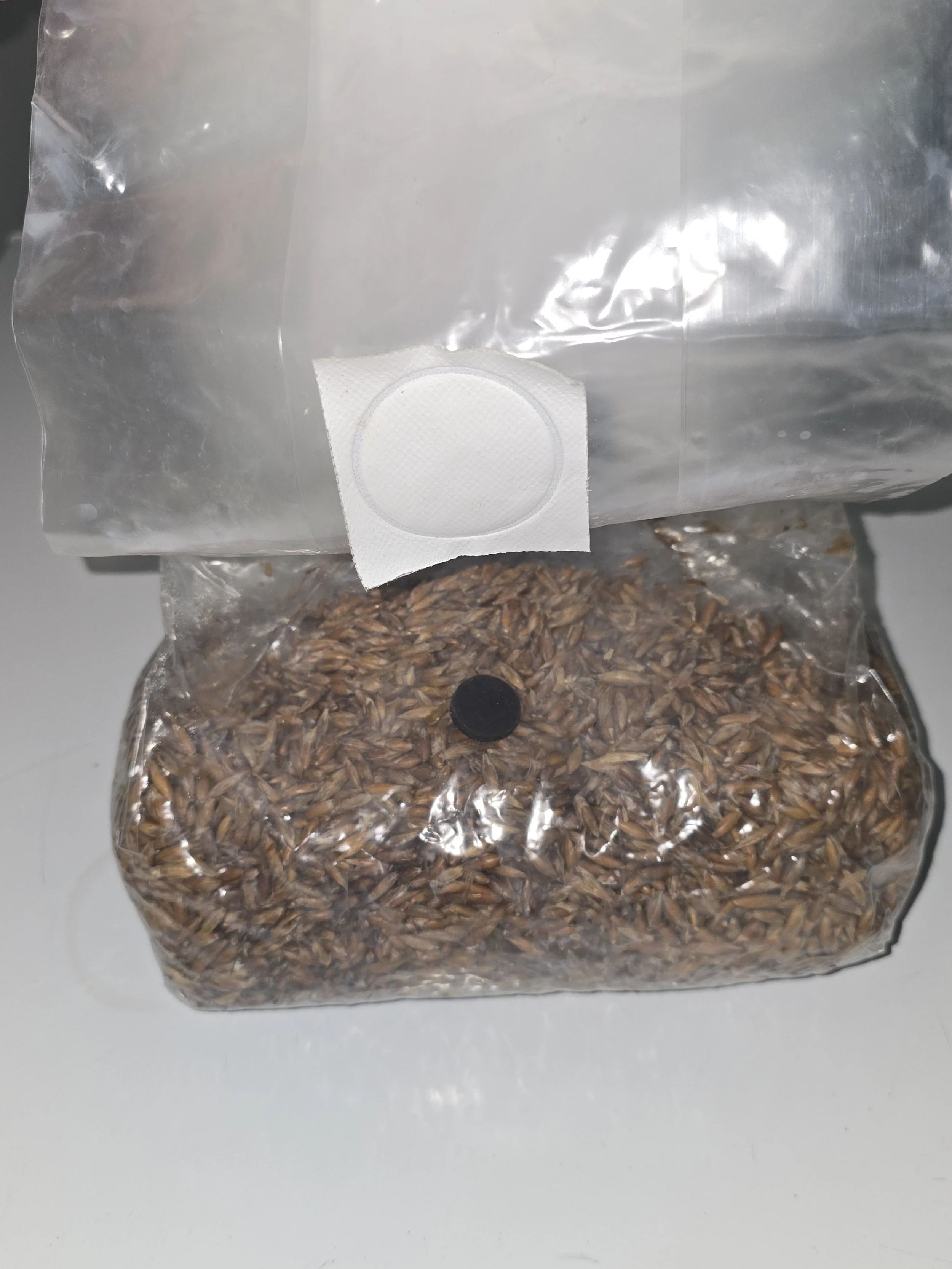 Grow Bags - BYO Culture