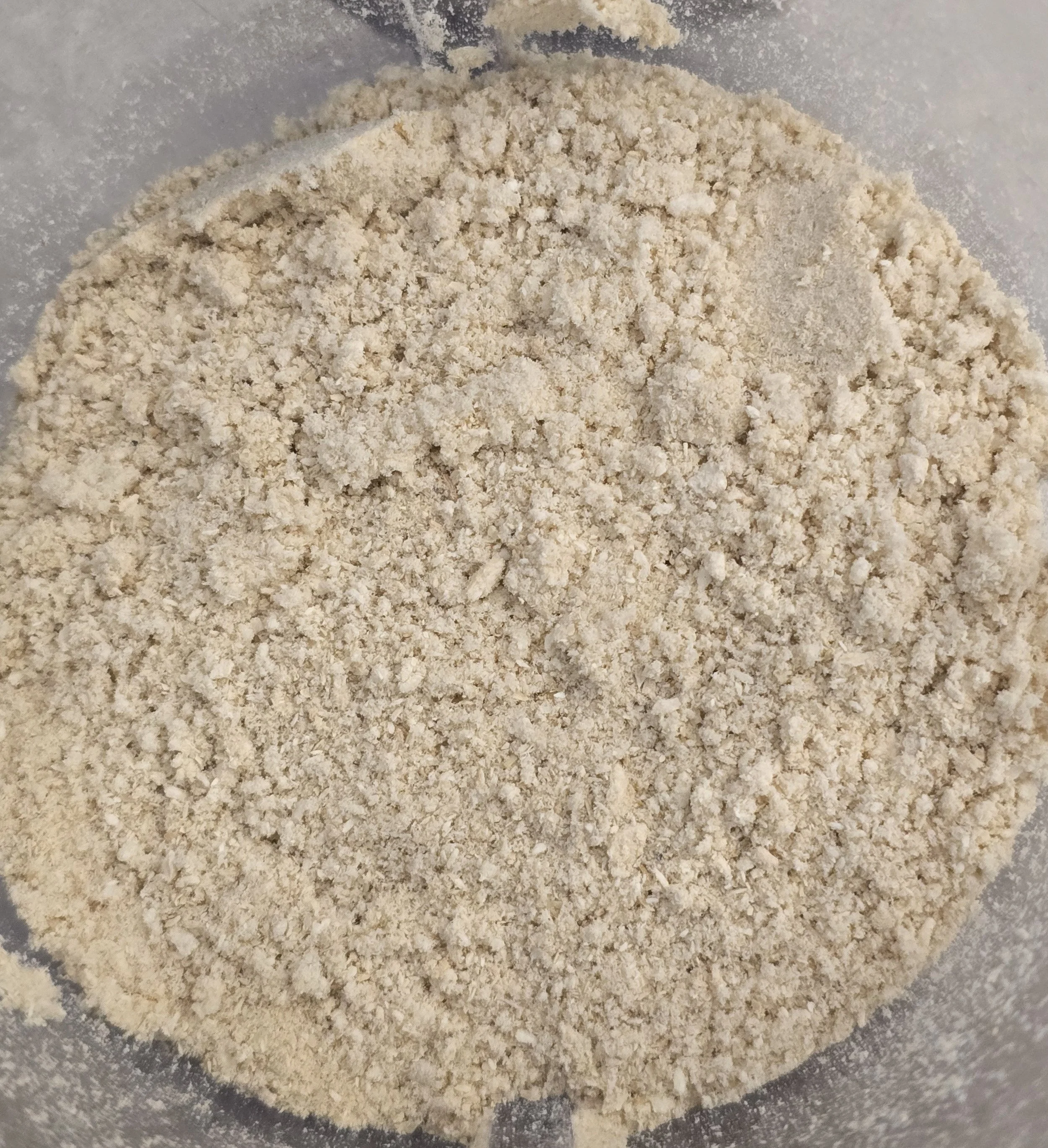 Dried Blue Oyster Powder