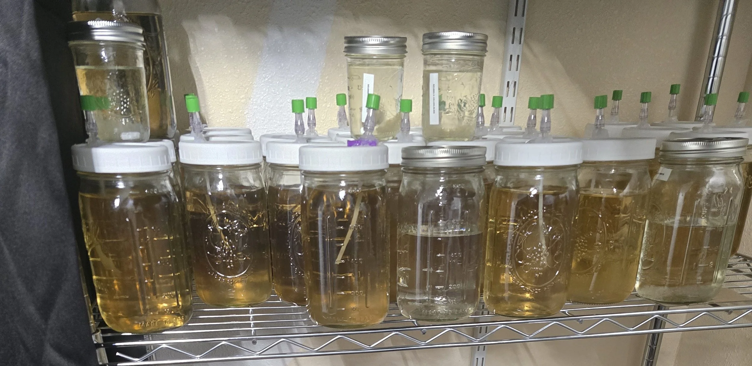 Sterile Liquid Culture Jars