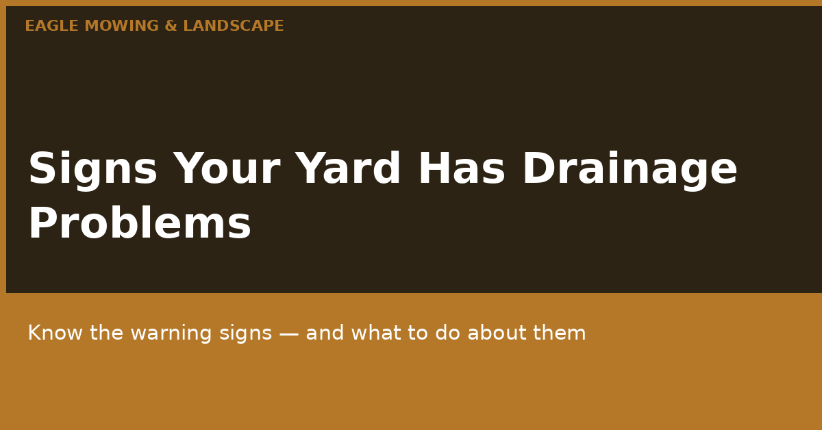 Signs Your Yard Has Drainage Problems (And What To Do About It)