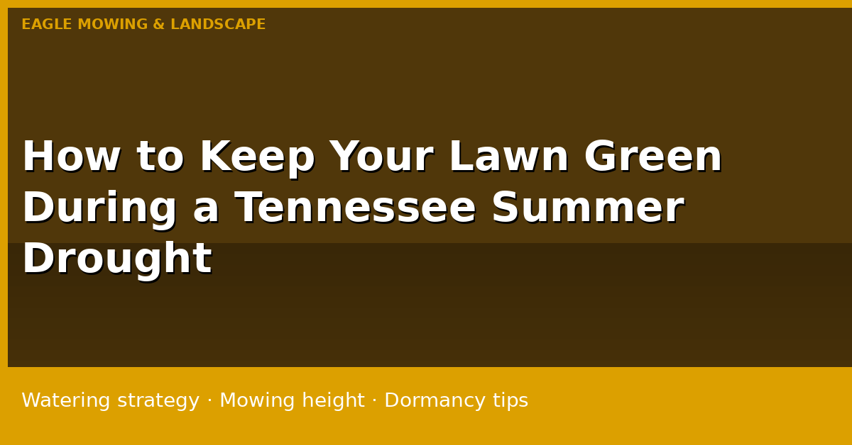 How to Keep Your Lawn Green During a Tennessee Summer Drought