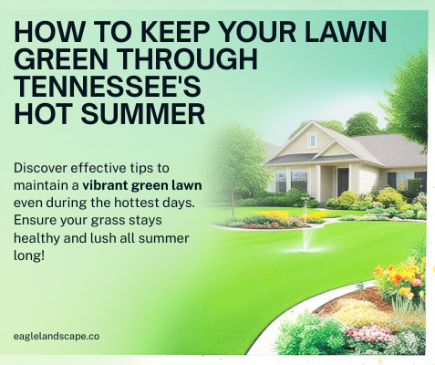 How to Keep Your Lawn Green Through Tennessee's Hot Summer