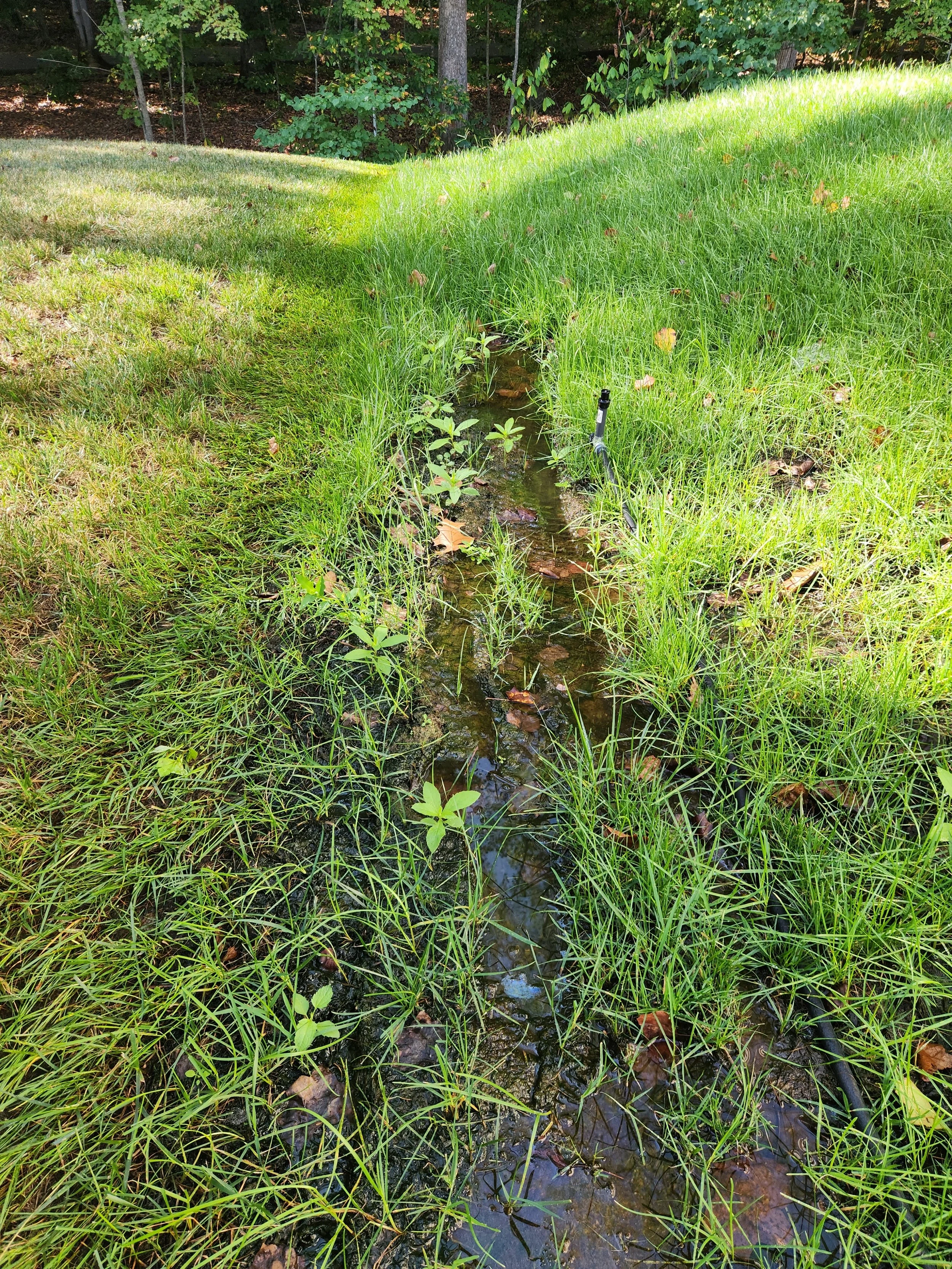 Drainage