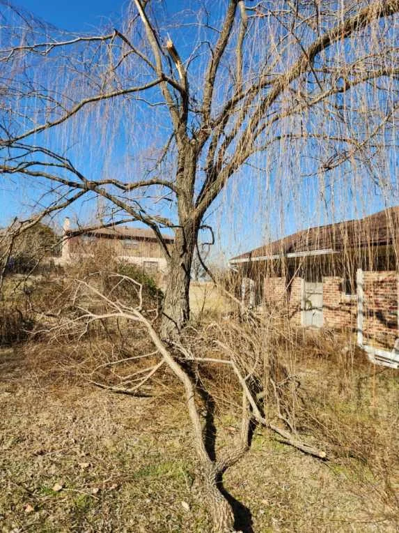 Why Late Winter Is the Perfect Time for Seasonal Landscape Cleanup