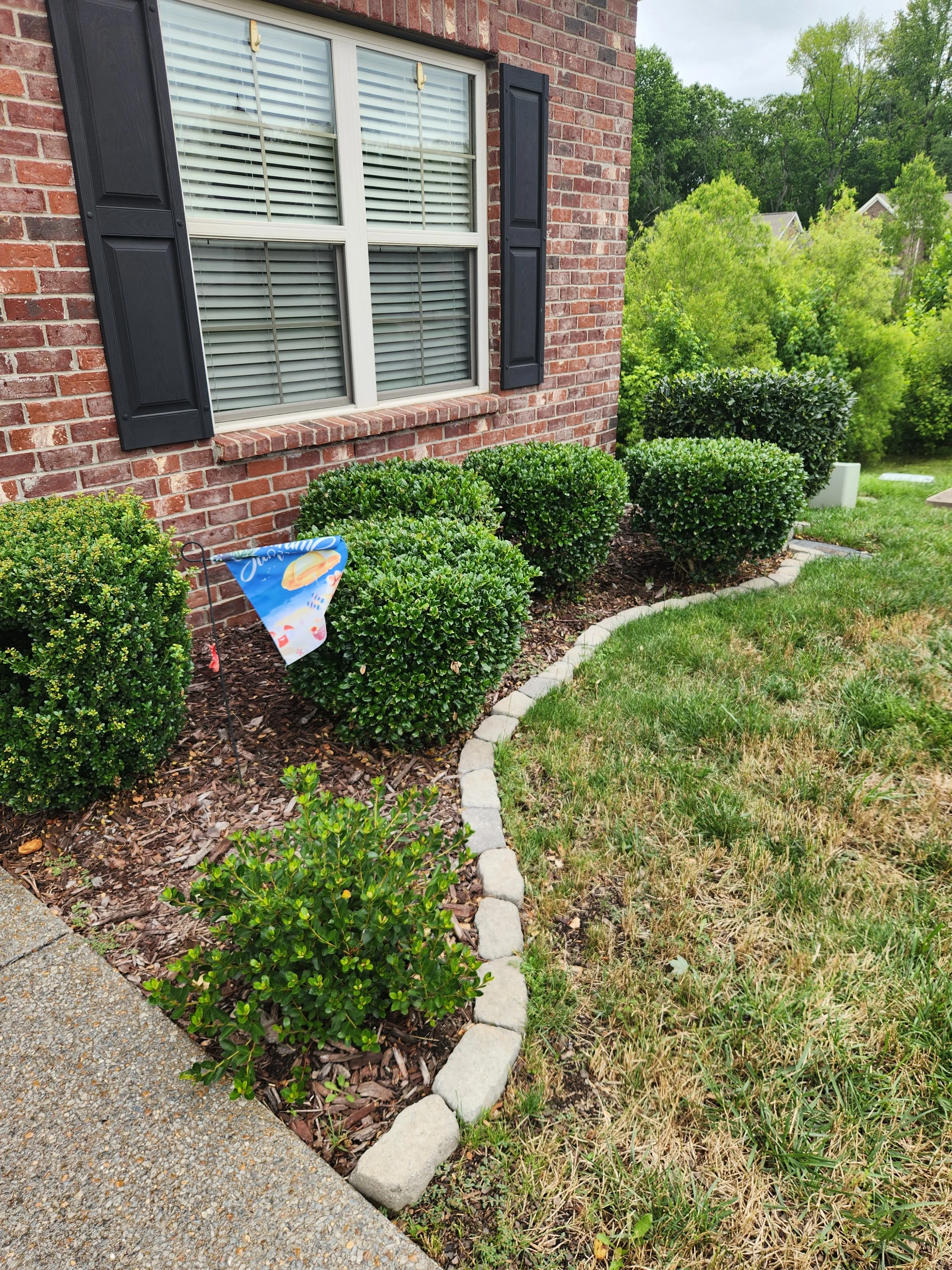 Before - Front Yard