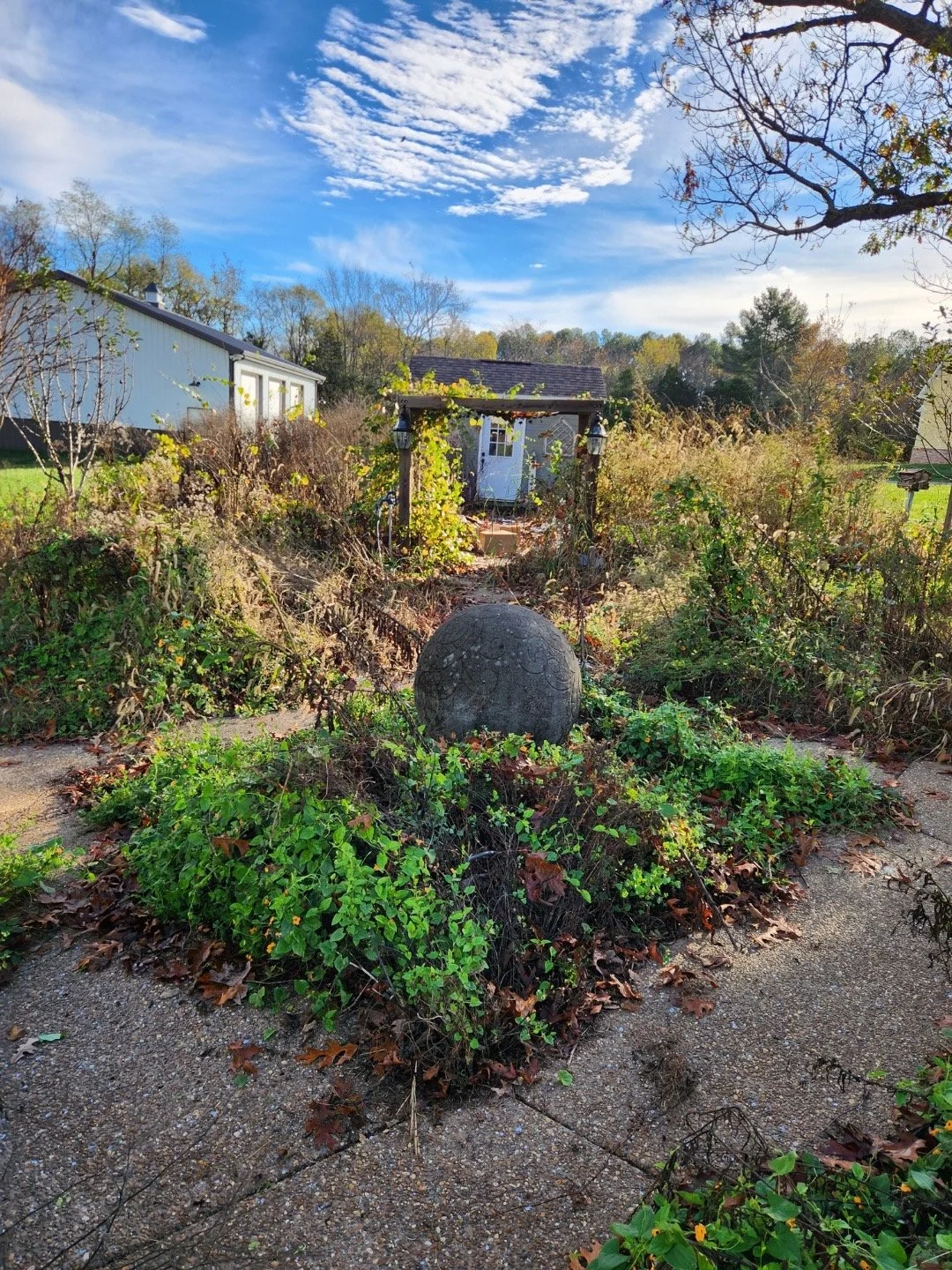 A garden with overgrown plants and a round stone with carvings, a pathway, a wooden arbor with vines, and a shed in the background under a partly cloudy sky.