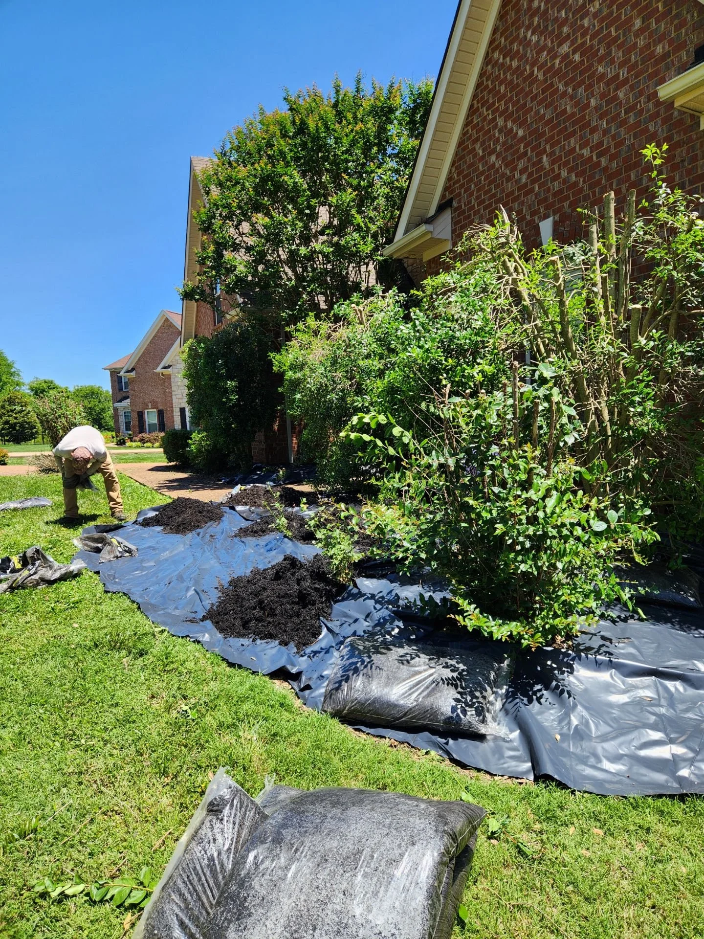 Overgrown shrubs and tired, bare beds.