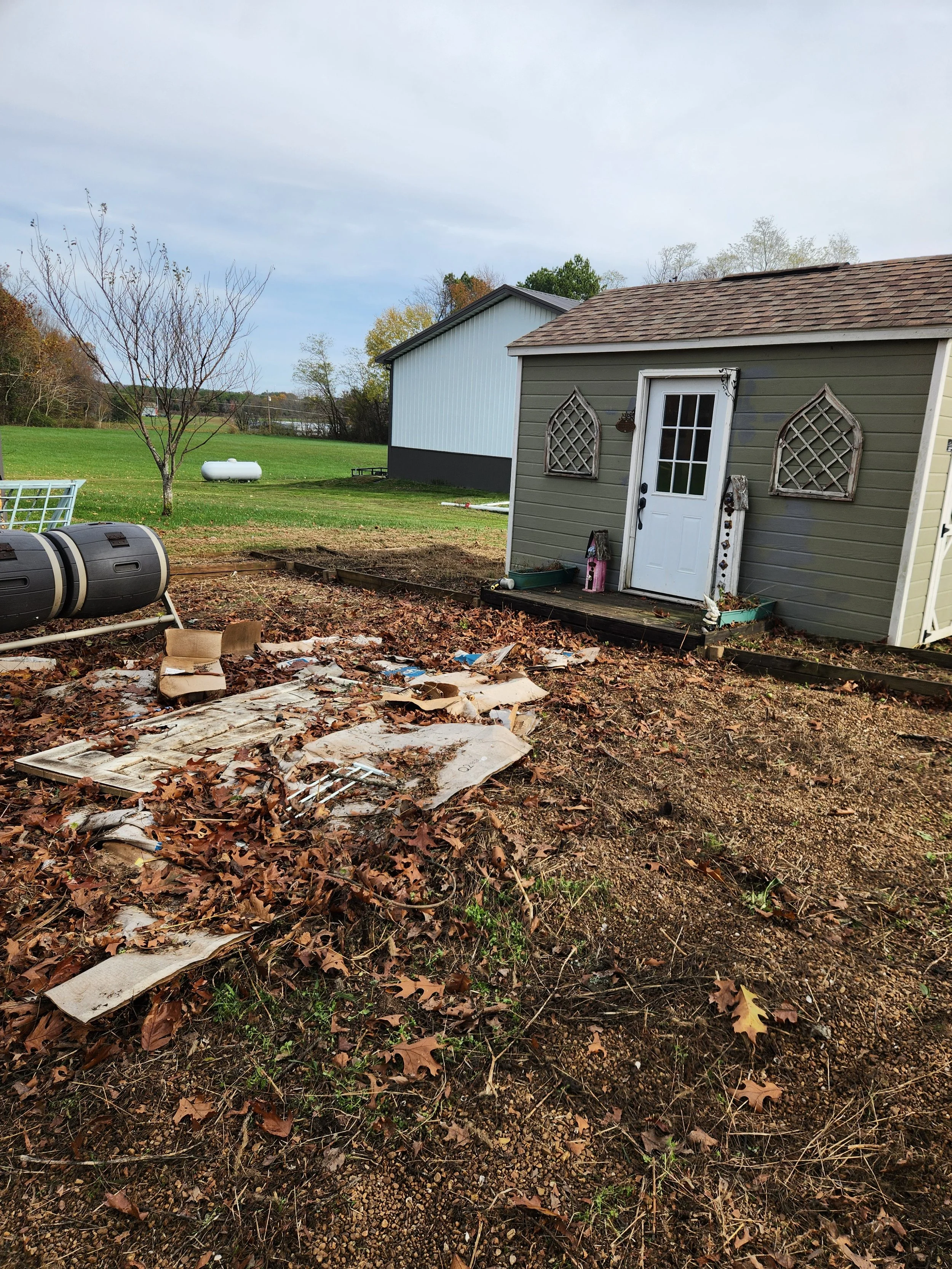 After Clean-Up