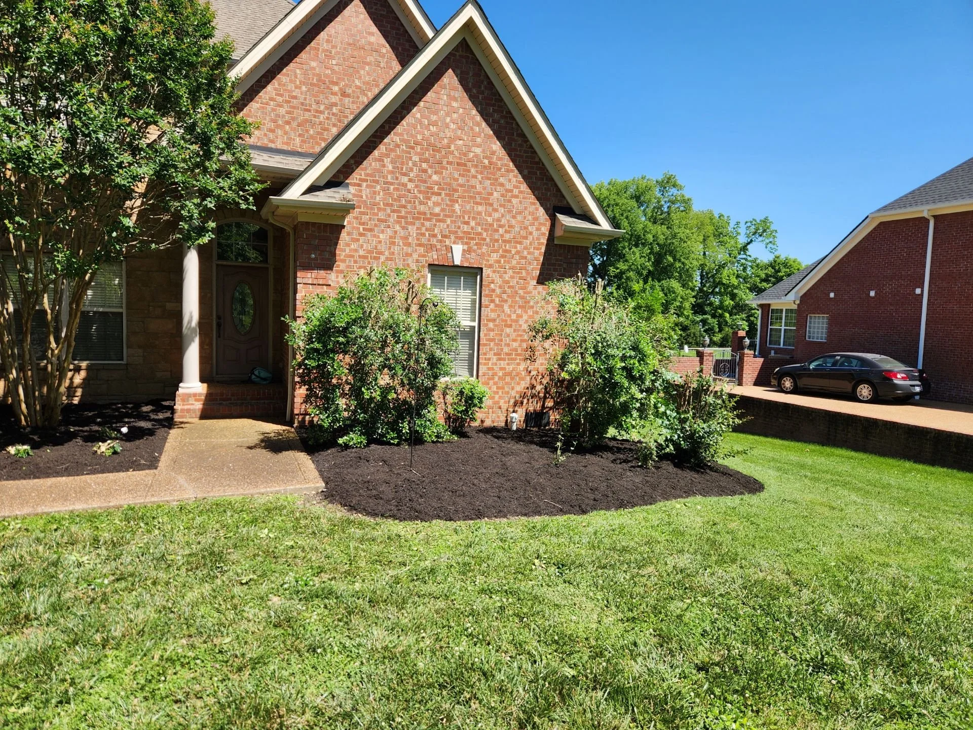 Landscape Clean-Up & Yard Refresh