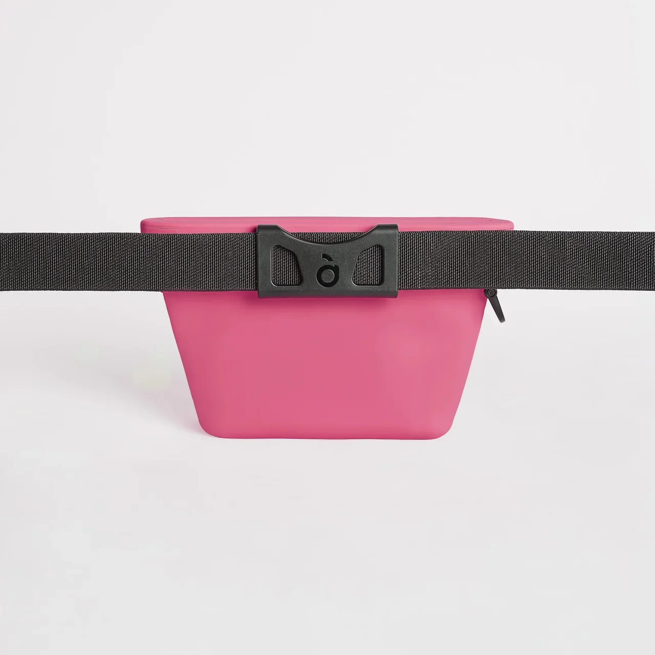 Voila Mini Fuschia 3.webp
