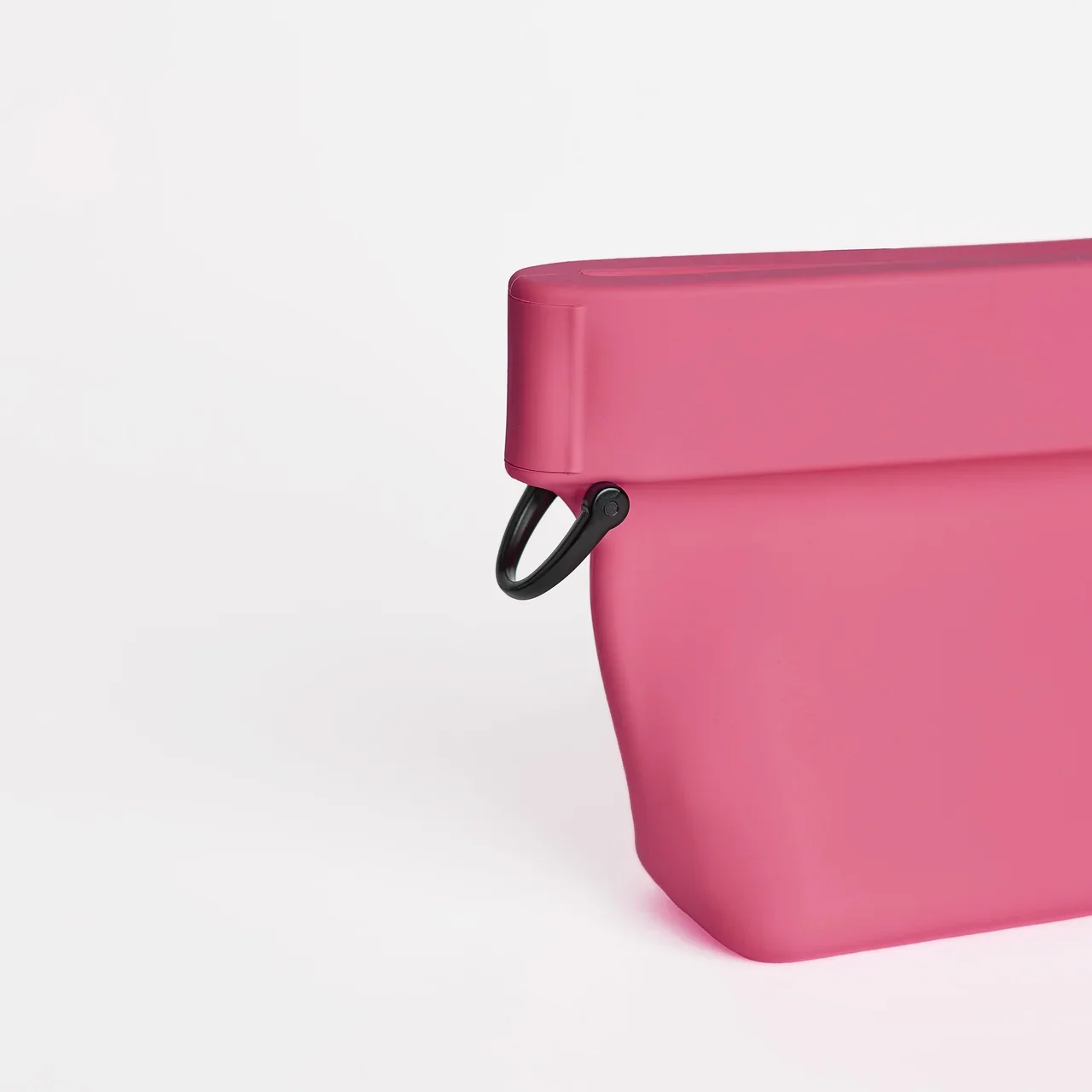 Voila Mini Fuschia 4.webp