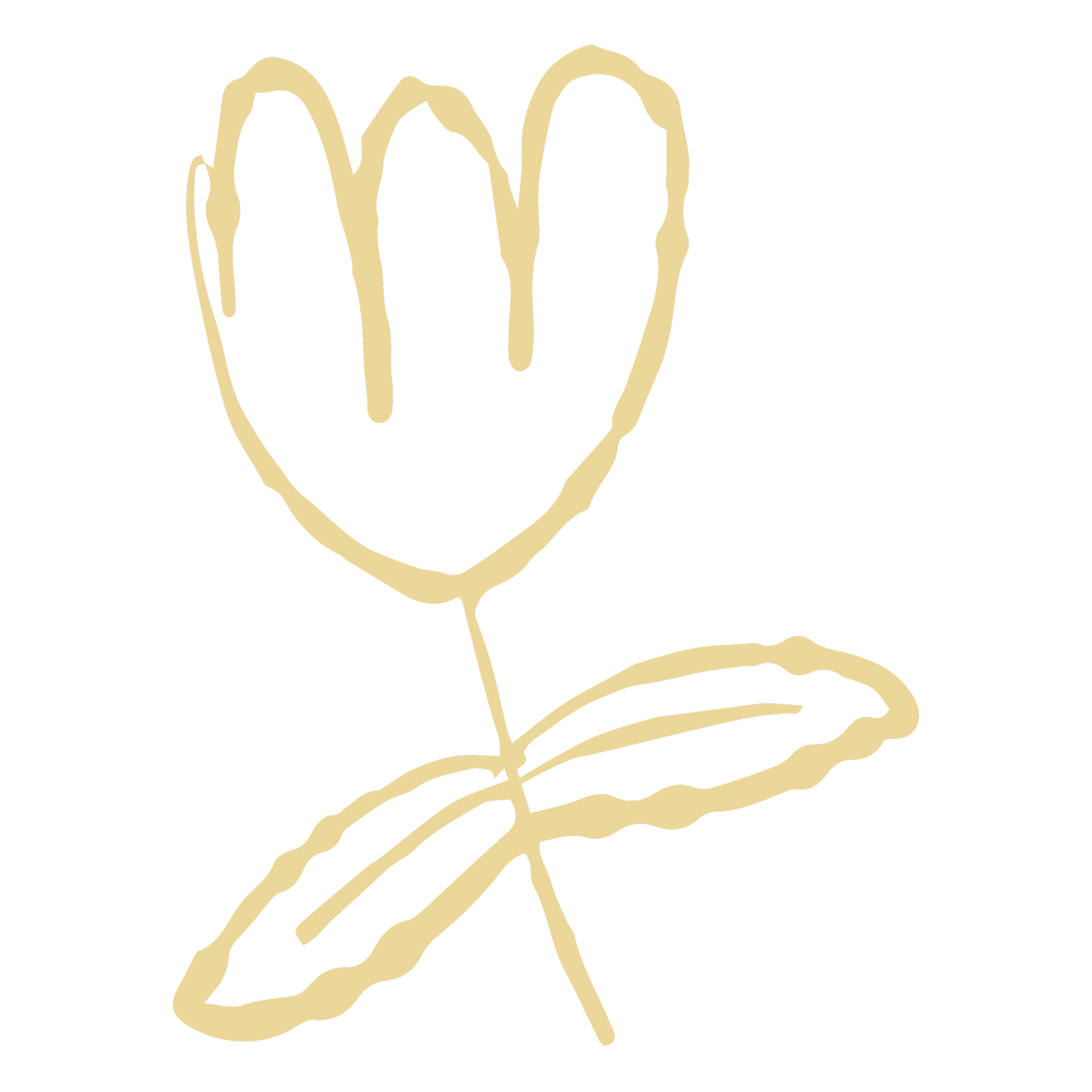 A simple line drawing of a plant with roots, stem, and leaves on a black background.