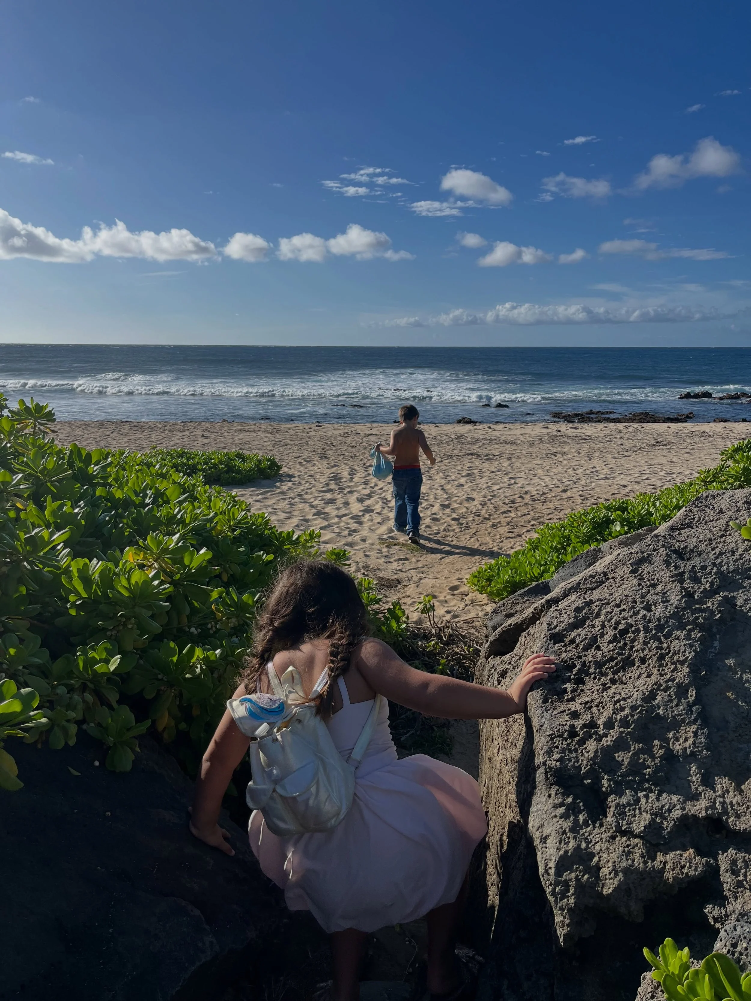 Homeroom Day! 

What better classroom for a little oceans unit?

Every week we do a homeroom day, intentionally built into our curriculum, to add a bit more whimsy. This could be a field trip, an extra activity, more crafts, library storytime, or any