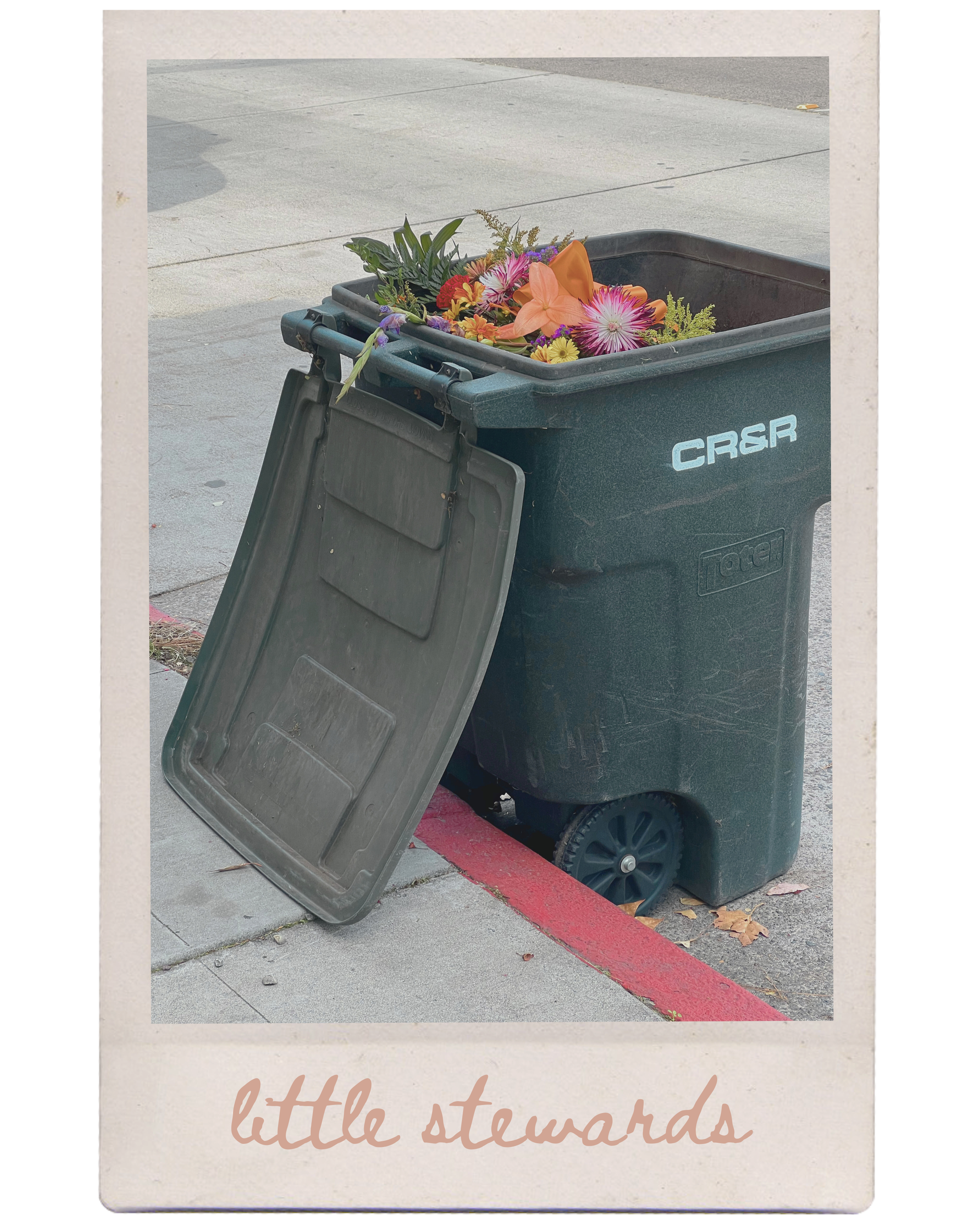 Discover the "3 R's" as we learn to care for our local creatures and land. Includes rhyming, sight words, and concrete addition.