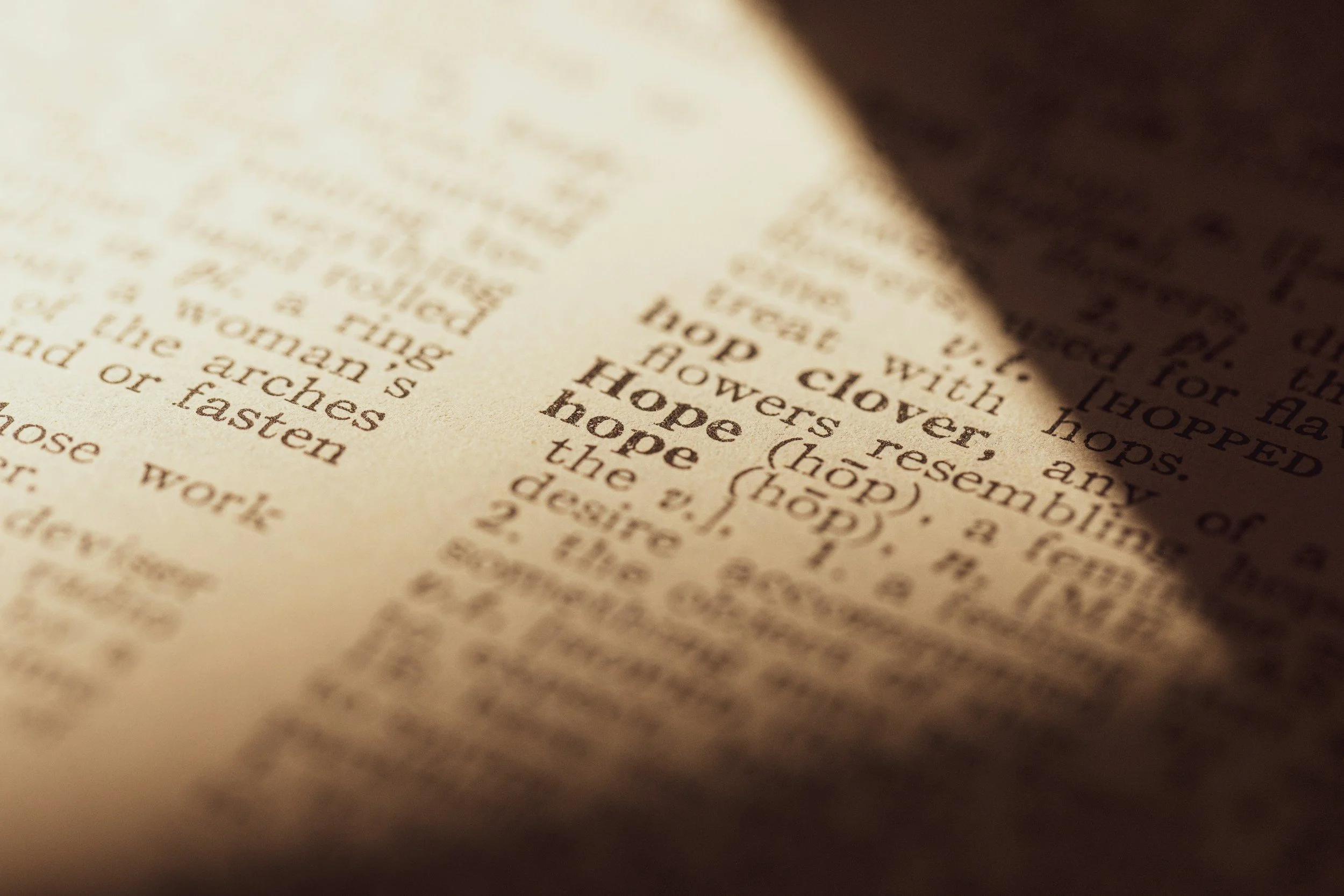 Picture of a dictionary definition that focuses on the word hope
