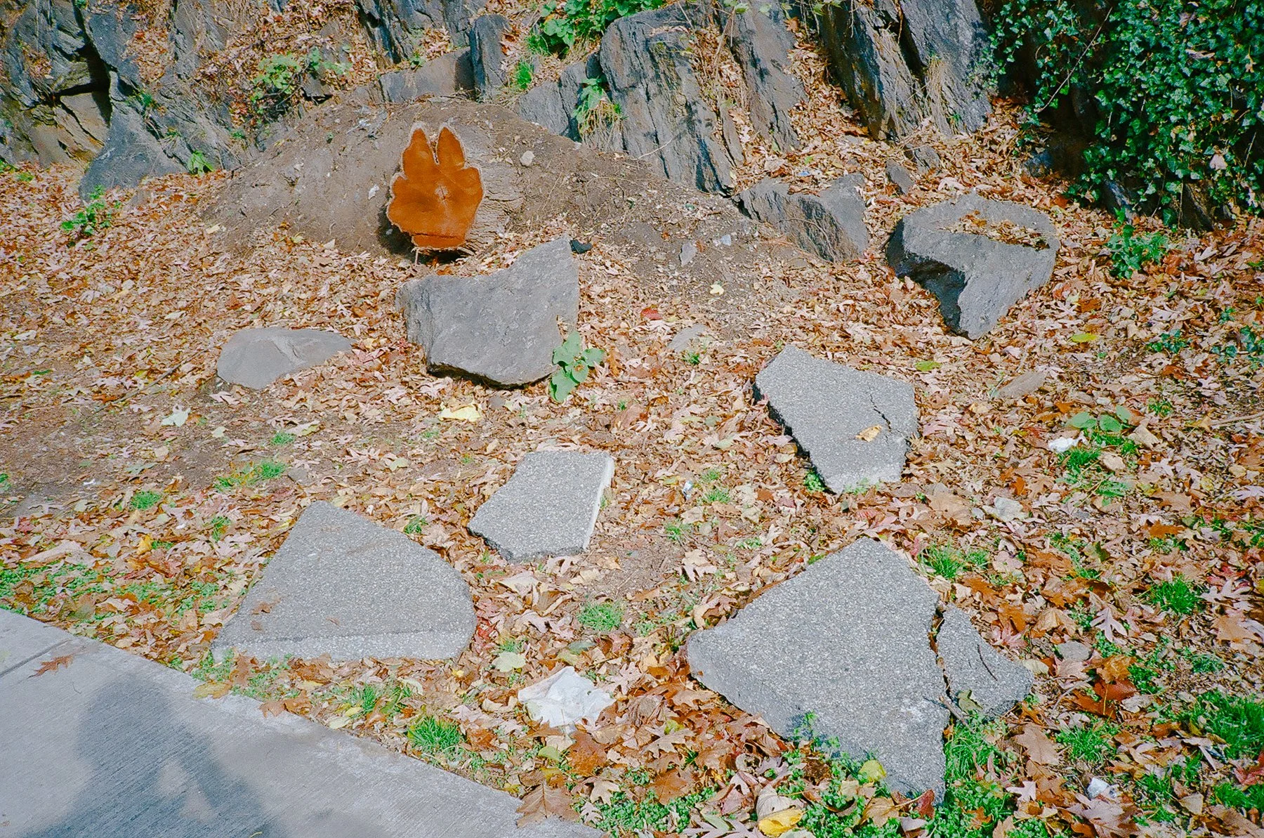 Untitled-24.jpg