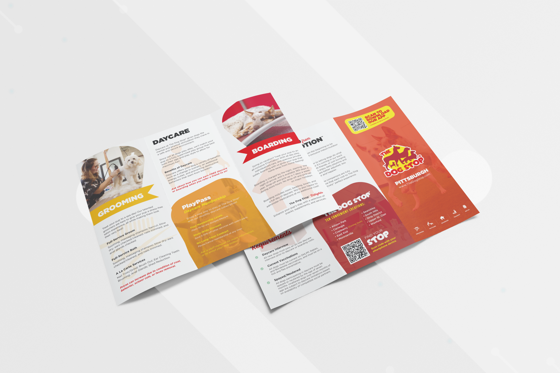 minimal-mockup-featuring-two-trifold-brochures-lying-on-a-solid-color-surface-267-el.png