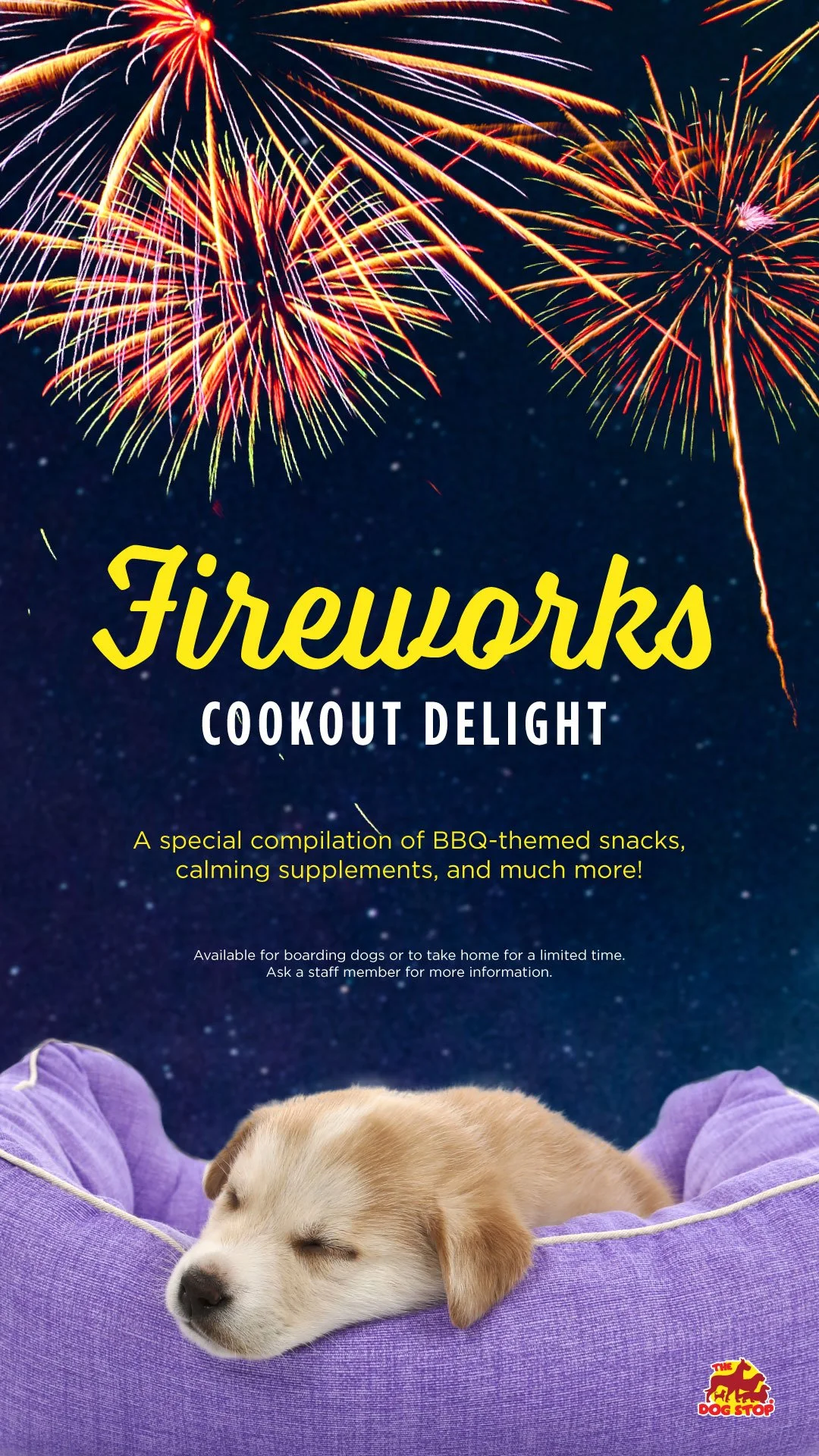 TDS-ScreenV-FireworksDelight.jpg