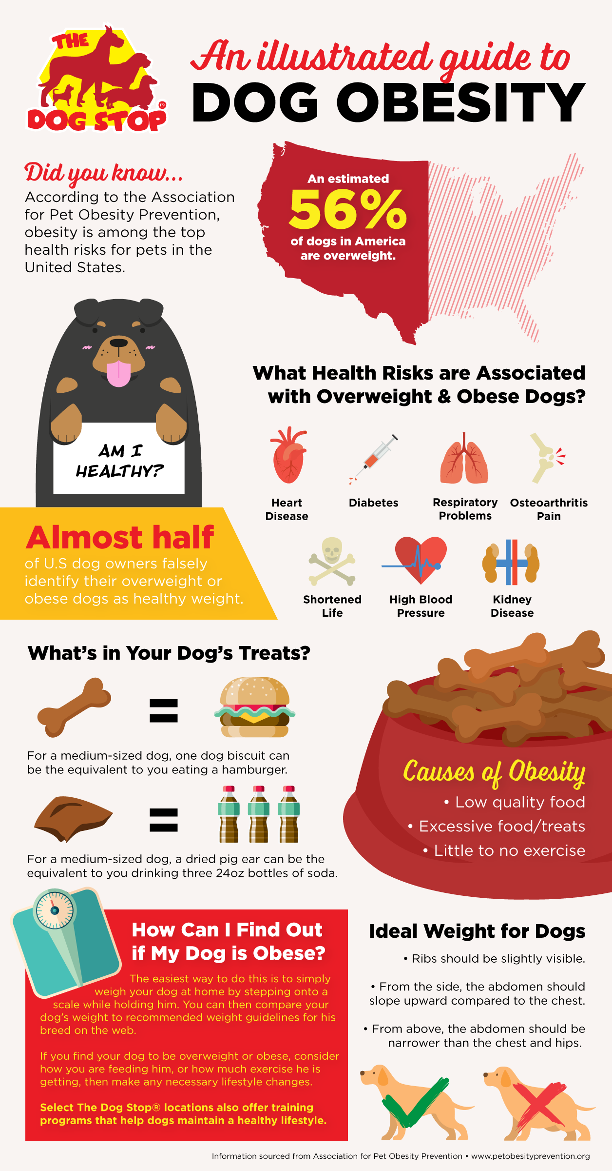 TDS-Infographic-NationalPetObesityDay.png