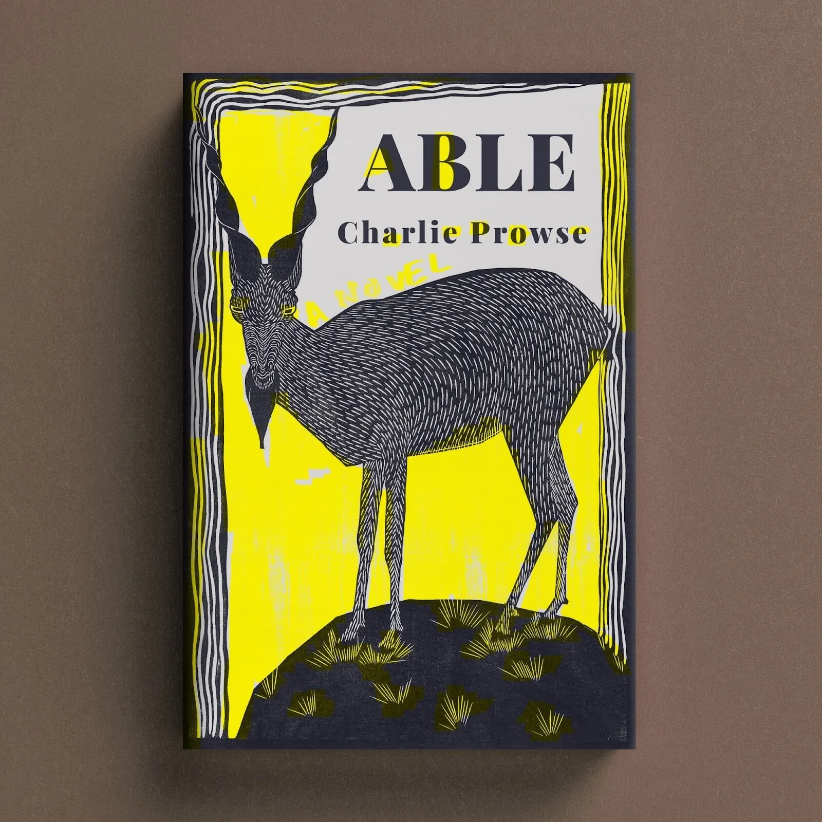 Cover for Able with a black cassowary illustration against a vivid yellow background