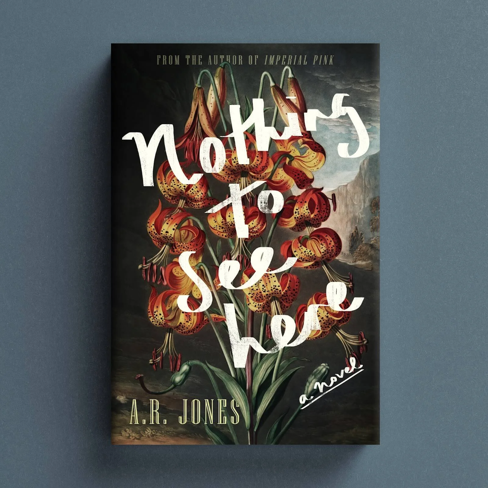 Cover for Nothing to See Here with vintage botanical tiger lilies and hand-lettered white title