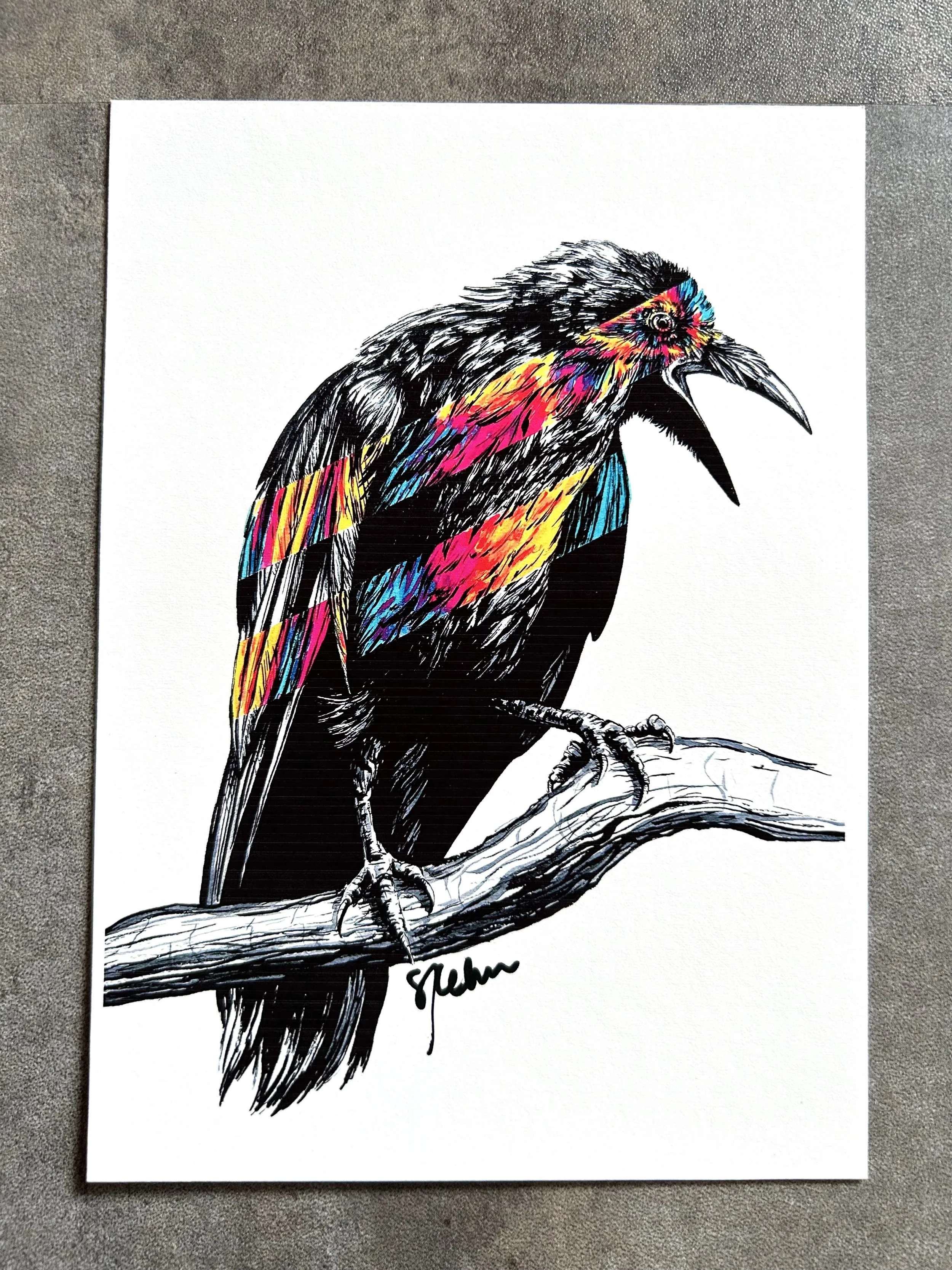 Raven No. 2