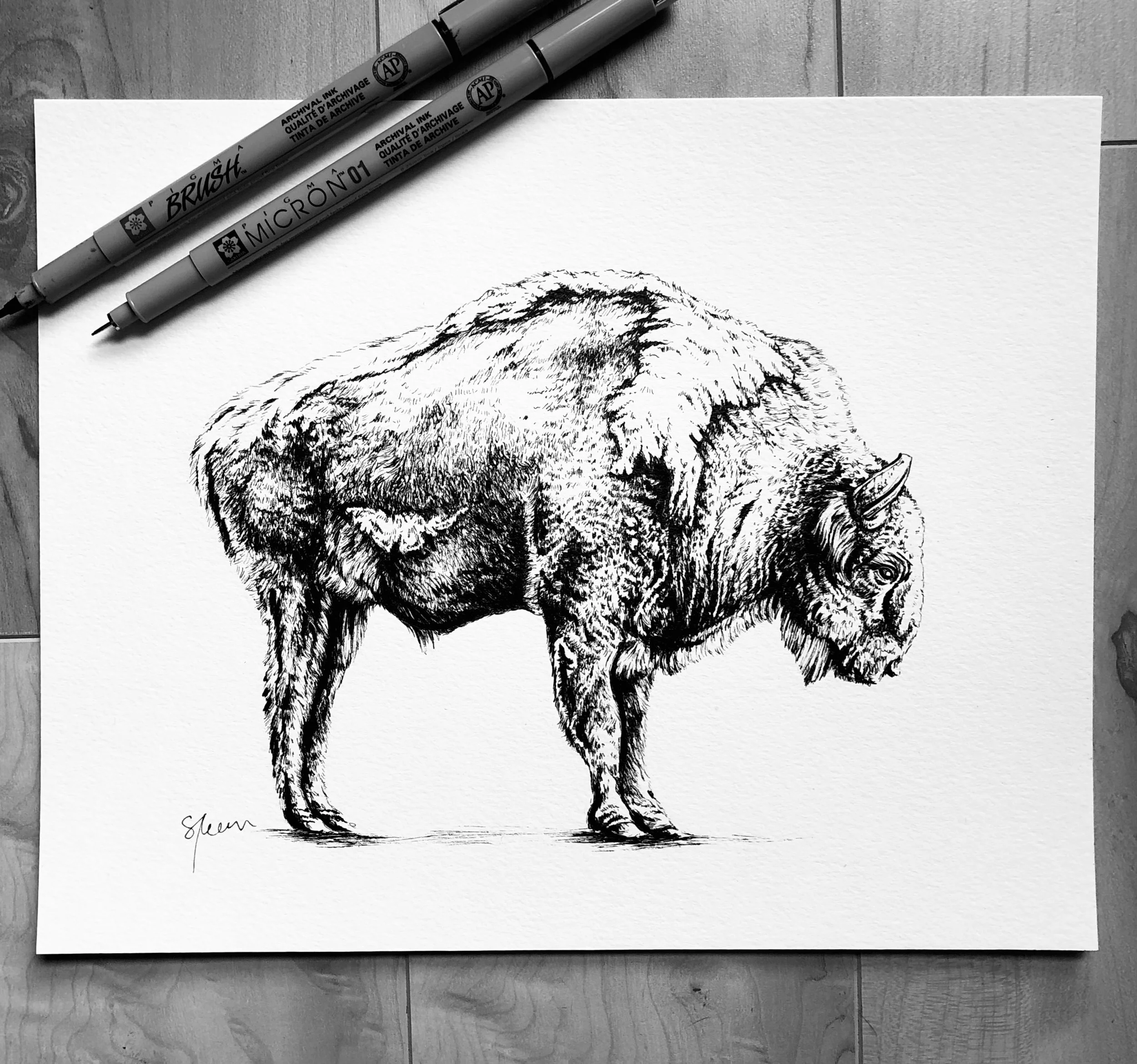 10"x8" - Micron pen on paper