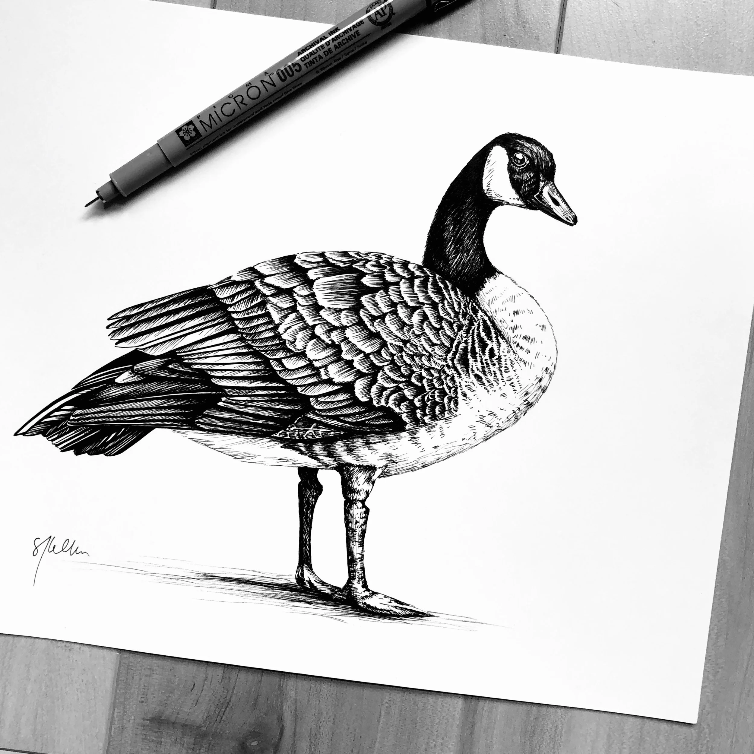 10"x8" - Micron pen on paper