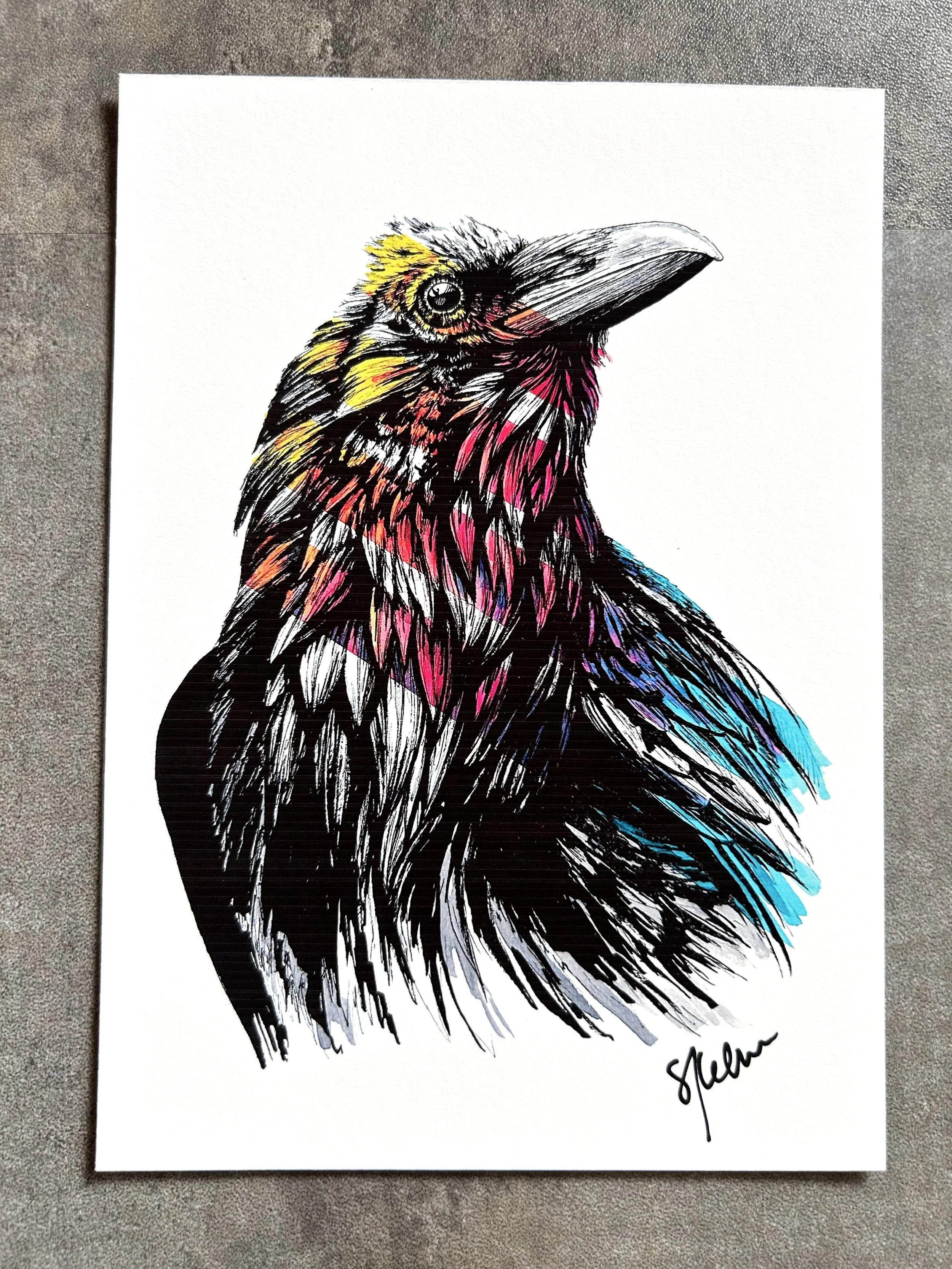 Raven No. 3