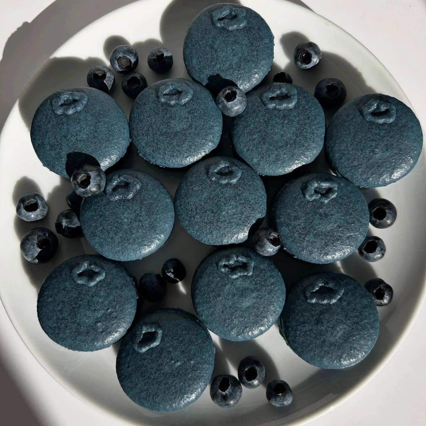 What better way to use freshly picked blueberries than in blueberry macarons?π«
