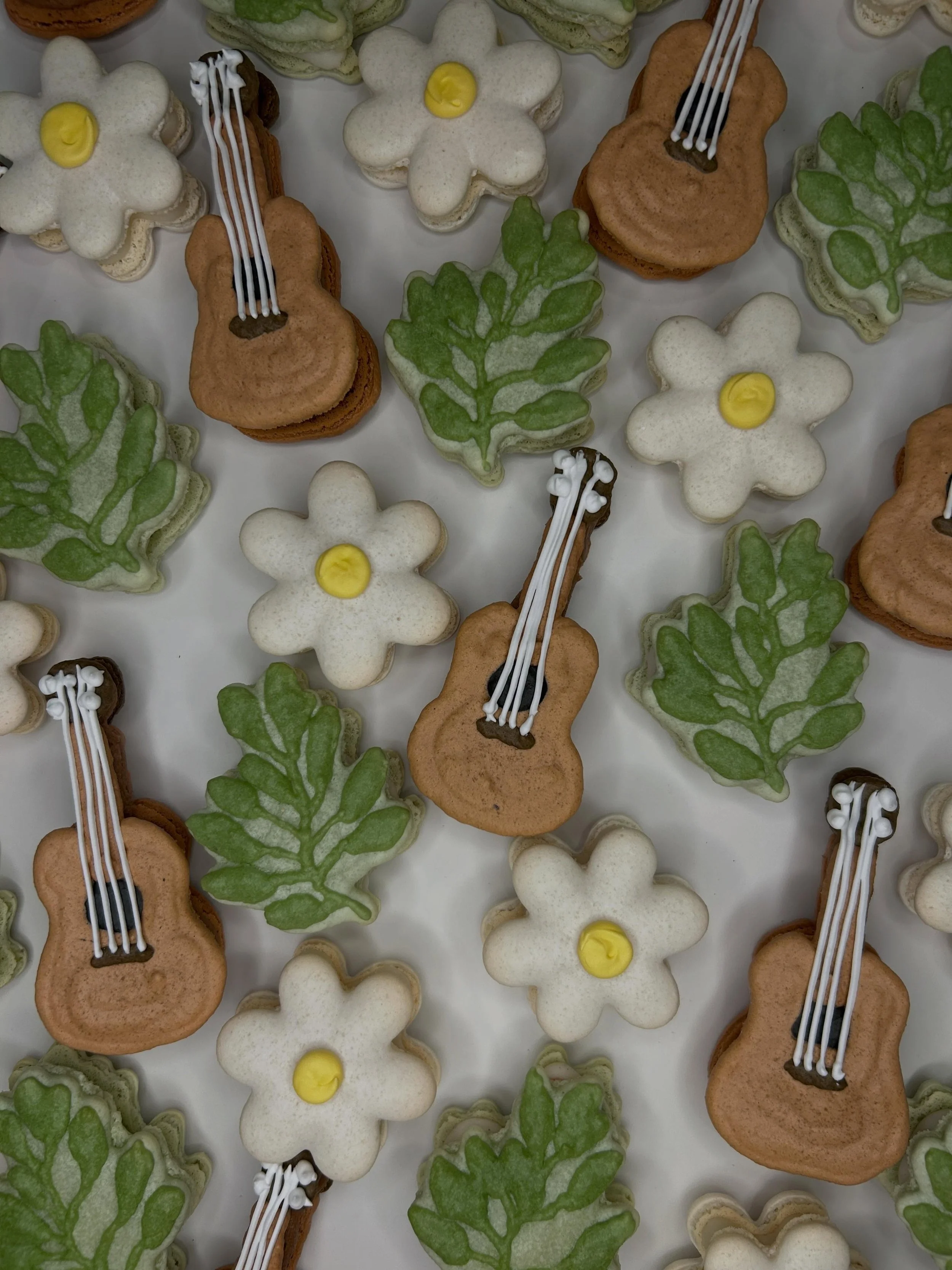 Custom macarons are such a sweet way to celebrate!🌼🎸🌿Congratulations, graduate!🎓

#SkylersMacarons #Macaron #Macarons #FrenchMacarons #MacaronBaker