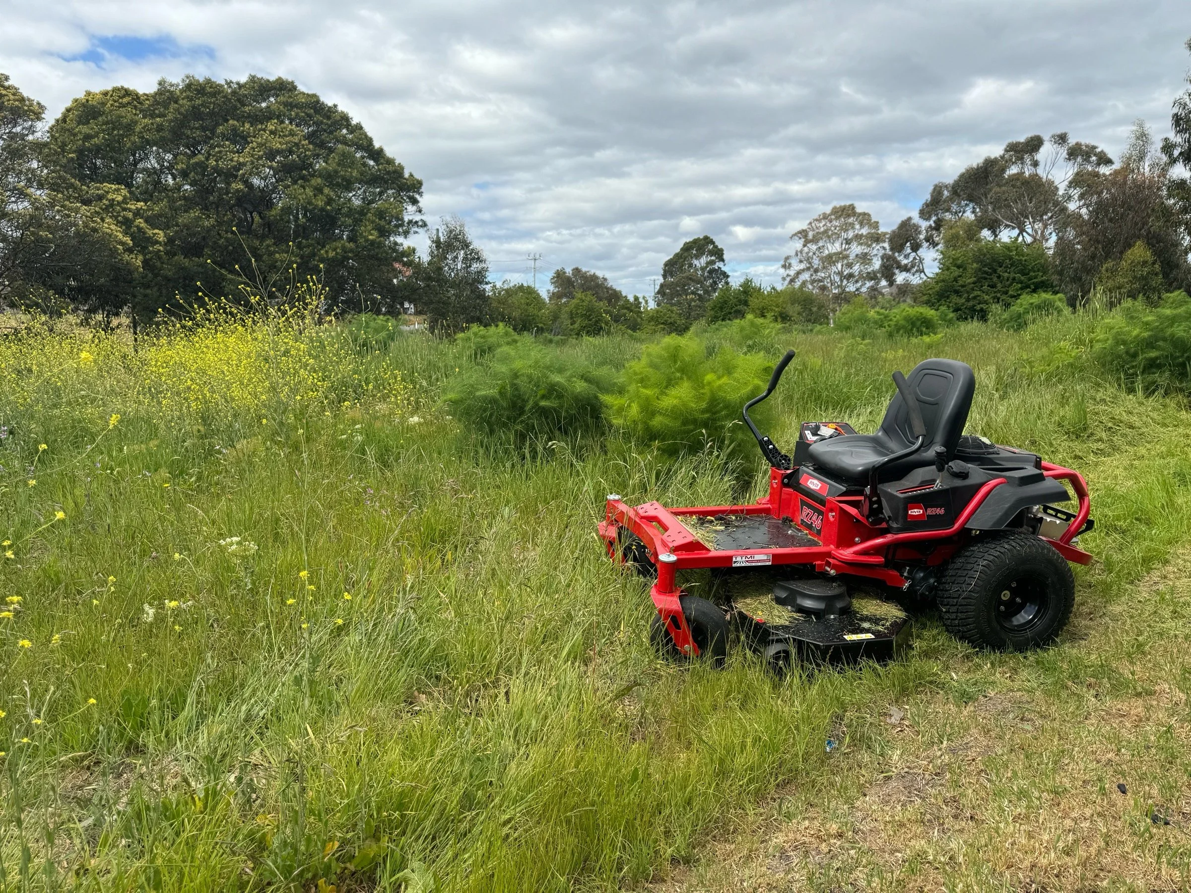 A red riding lawn mower parked on a grassy field with tall green grass and wildflowers, surrounded by trees and a cloudy sky.