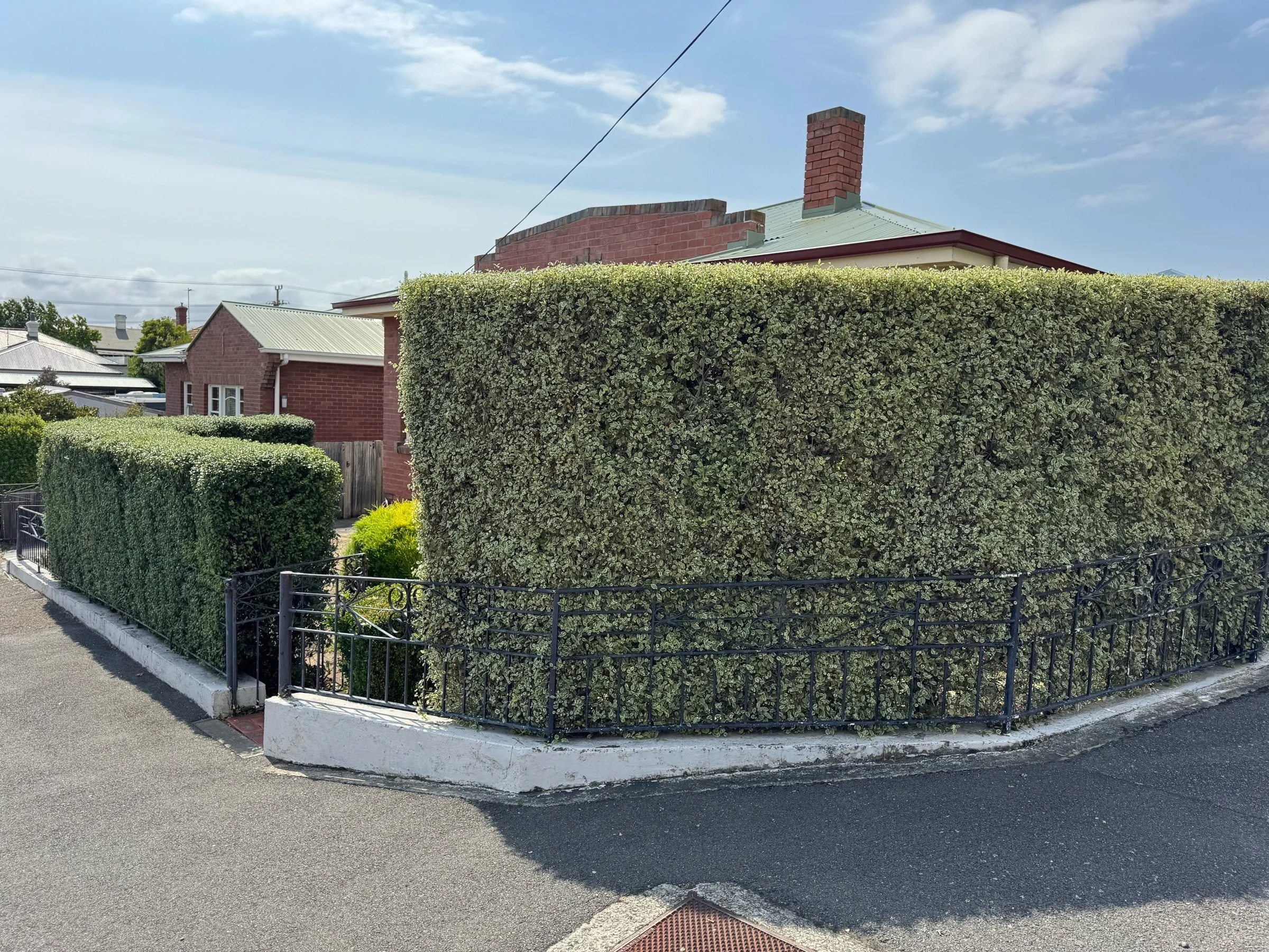 Neatly trimmed corner box hedge at a Hobart home