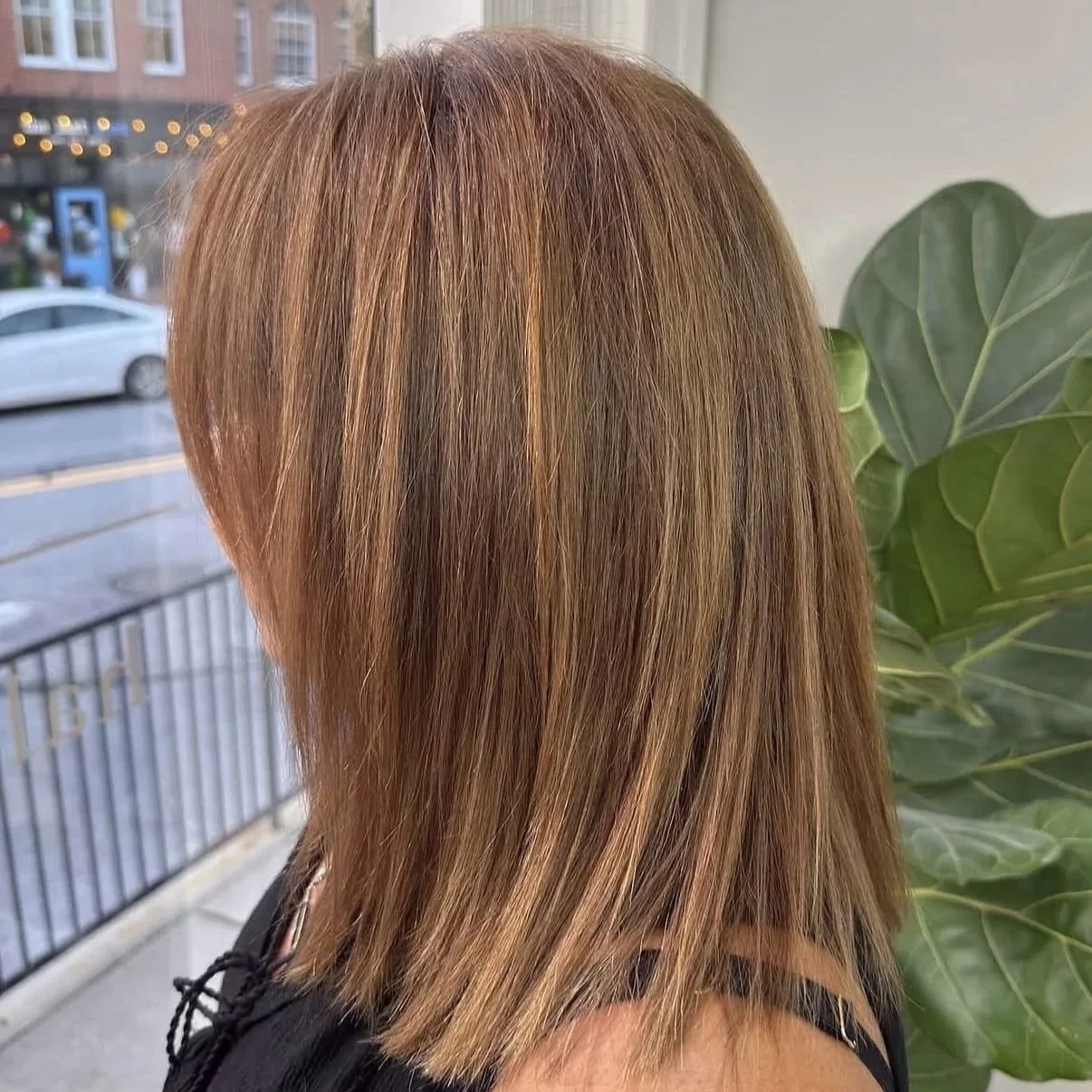 A close-up of a person's shoulder-length, straight, light brown hair inside a building with a large green plant nearby and a window showing a street scene outside.